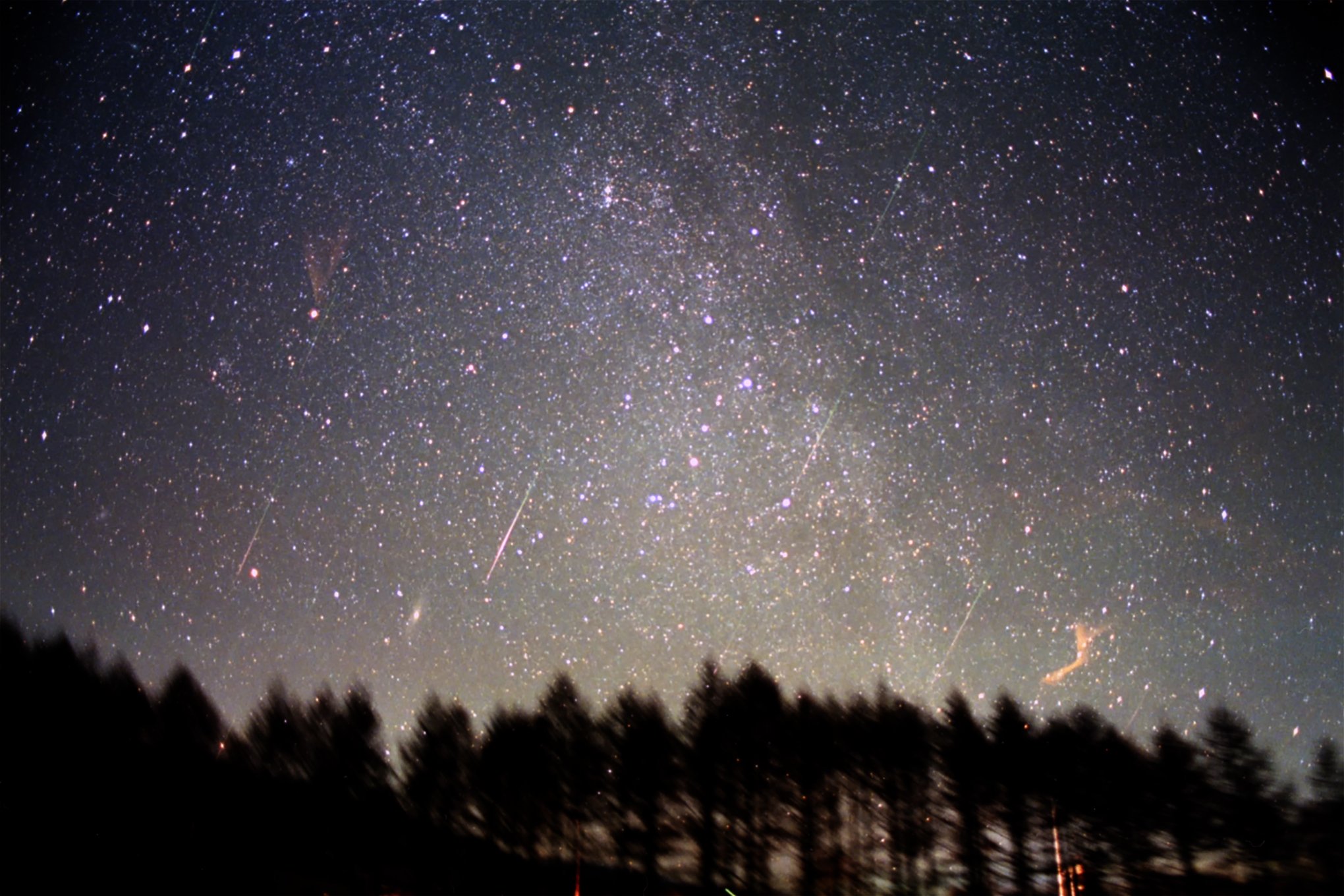 【流星ページ】 星の記憶帳～2001年11月18日しし座流星雨～｜星空写真家 × 会社役員