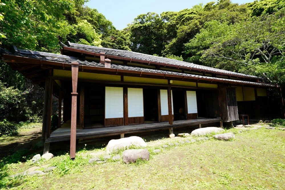 画像