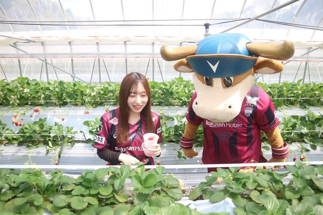 モーヴィくんとセレイアがやくもファームに登場🍓⚽