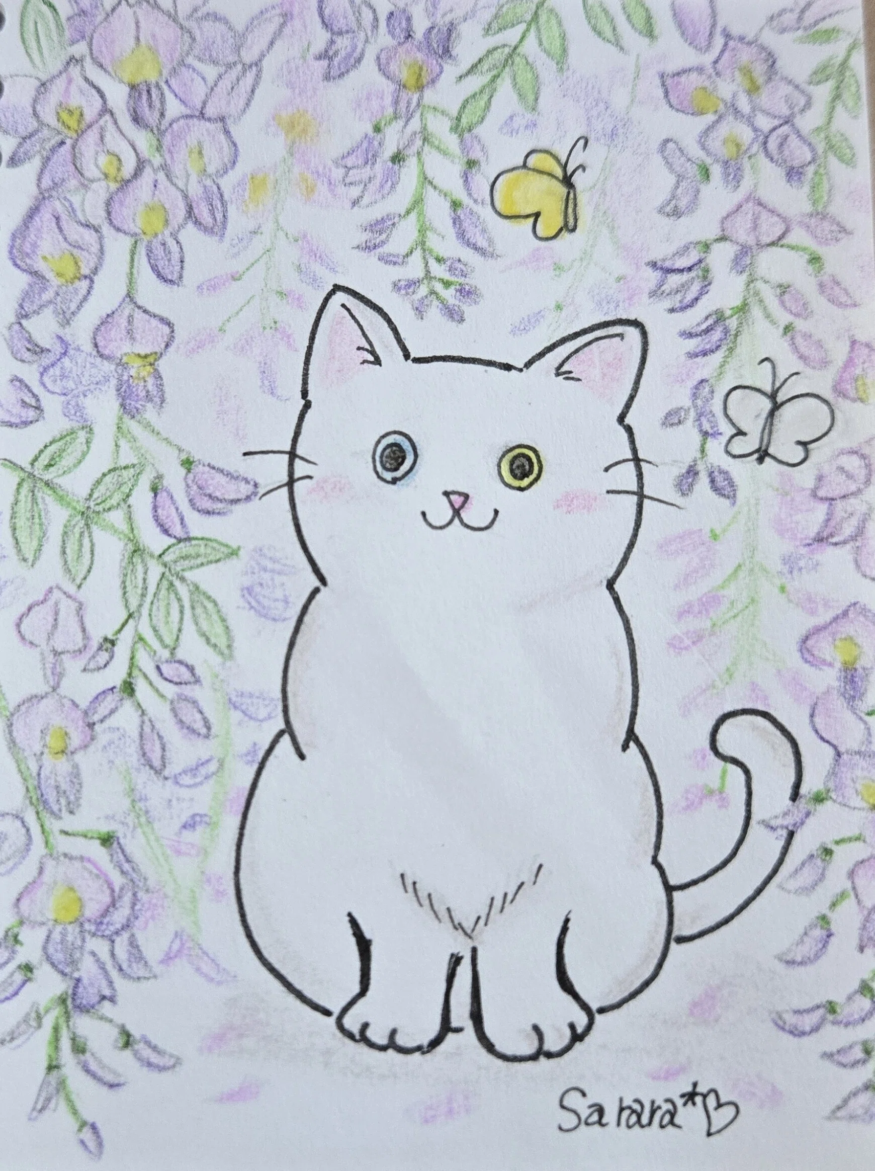 藤の花とオッドアイの白猫 【お絵描き日記】｜サラ*♡