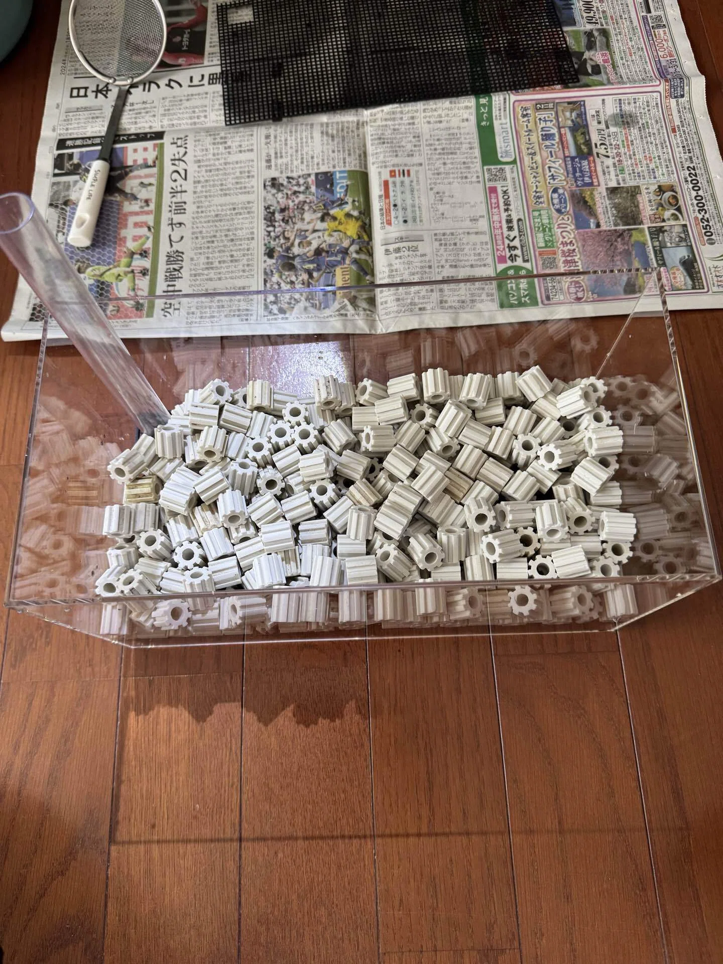90センチ水槽、三分割への挑戦。〜LS Easy Filterとセパレーターで築く