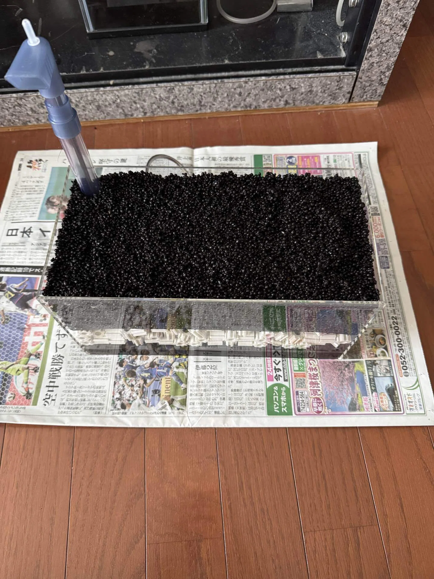 90センチ水槽、三分割への挑戦。〜LS Easy Filterとセパレーターで築く 90センチ水槽、三分割への挑戦。〜LS Easy Filterとセパレーターで築く