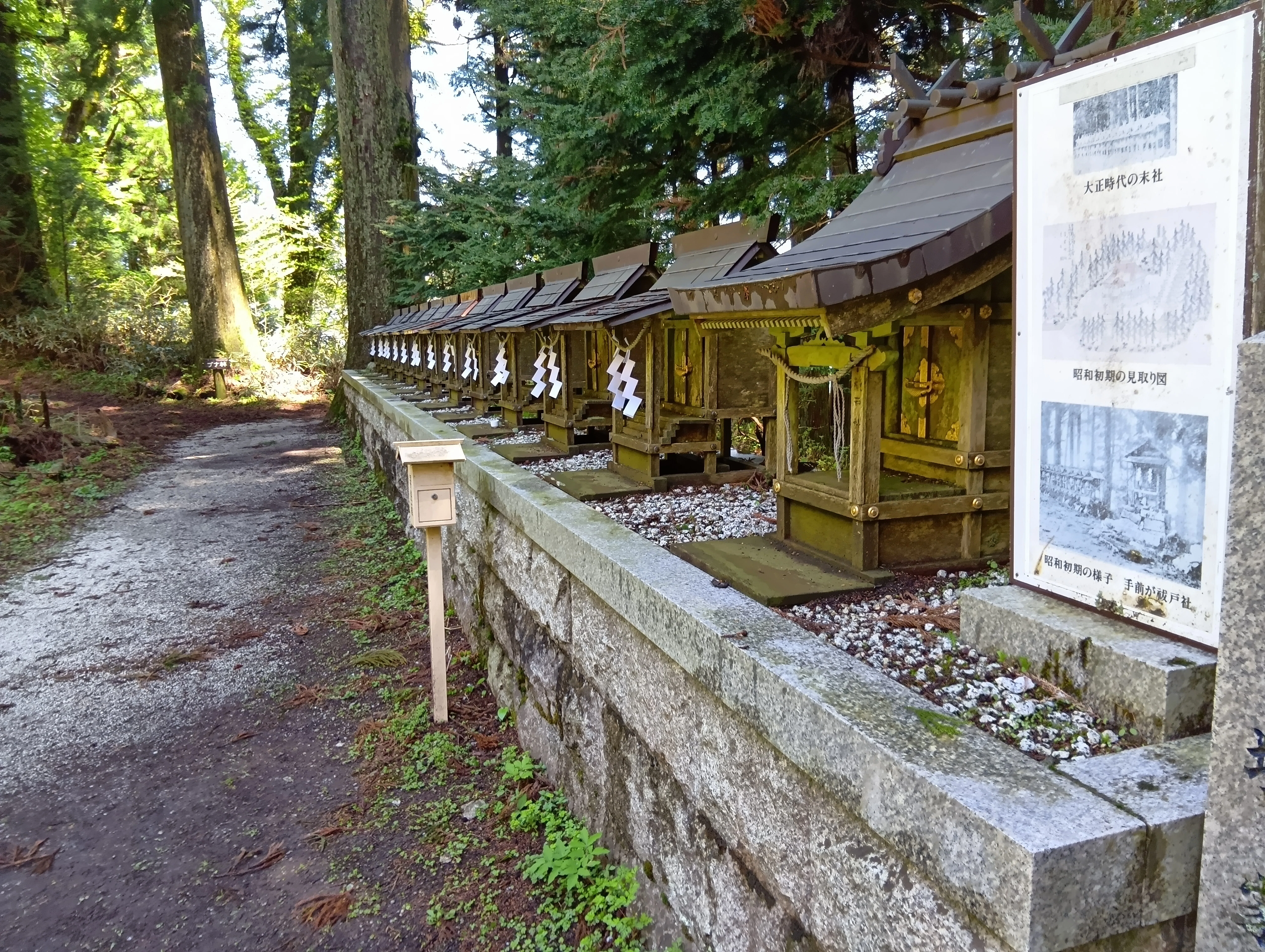 低山ハイク｜金剛山。文殊中尾根ルート〜郵便道〜高天彦神社〜♨️かも