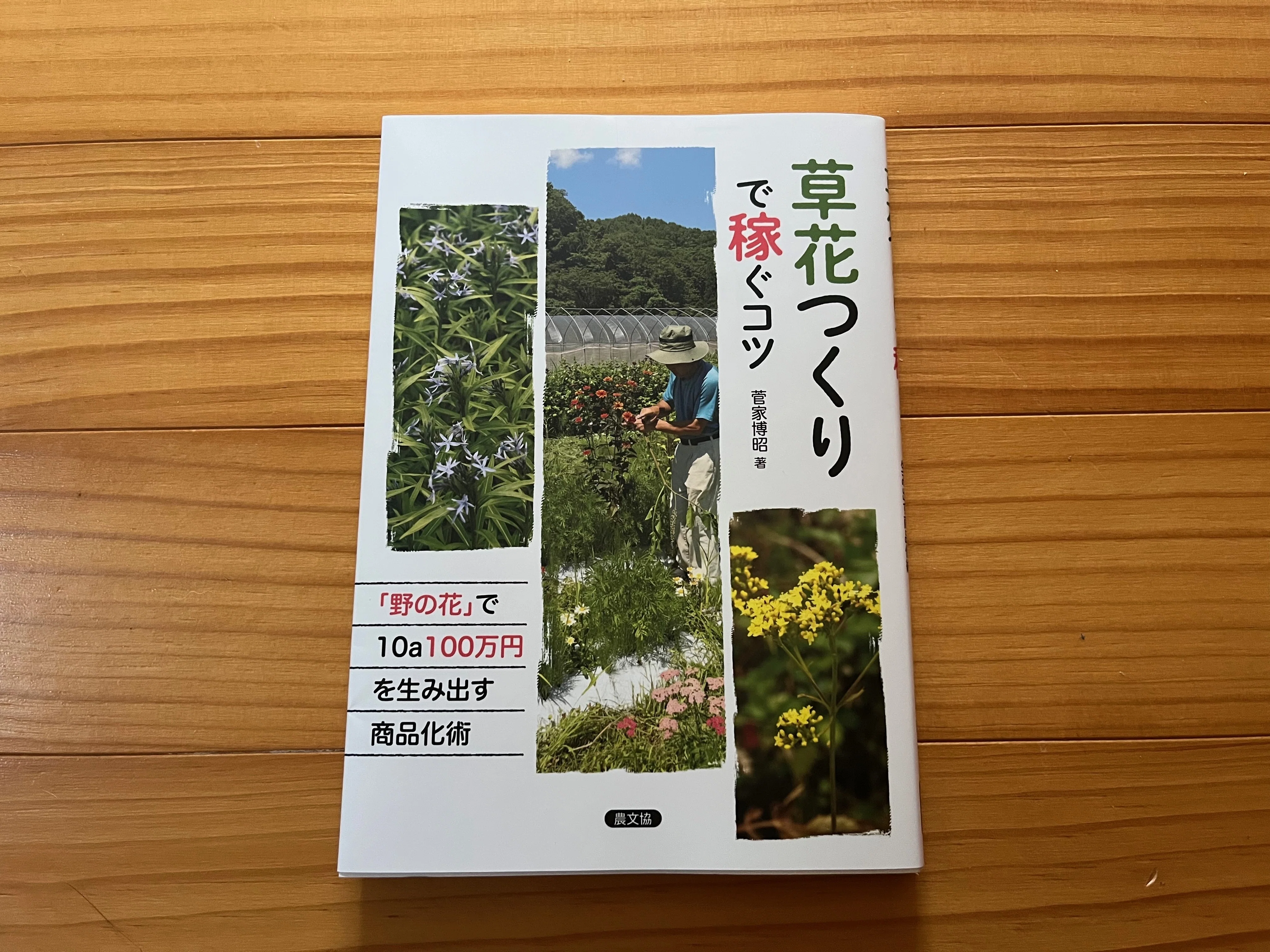 谷戸日記】2026/4/27-5/3｜damahouse