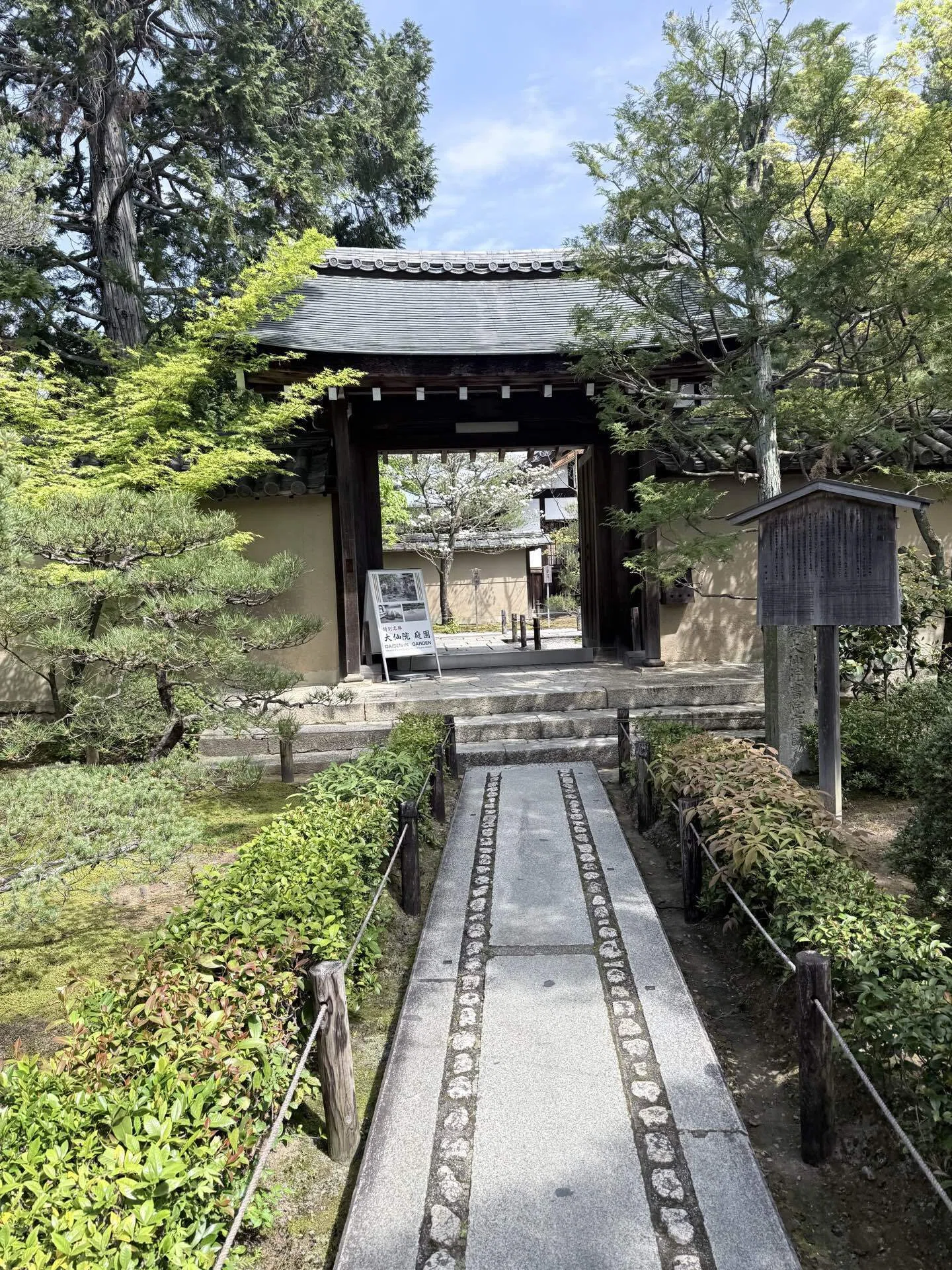 大仙院の枯山水、京都で出会う特別名勝の石庭/観光ドライバーがご案内