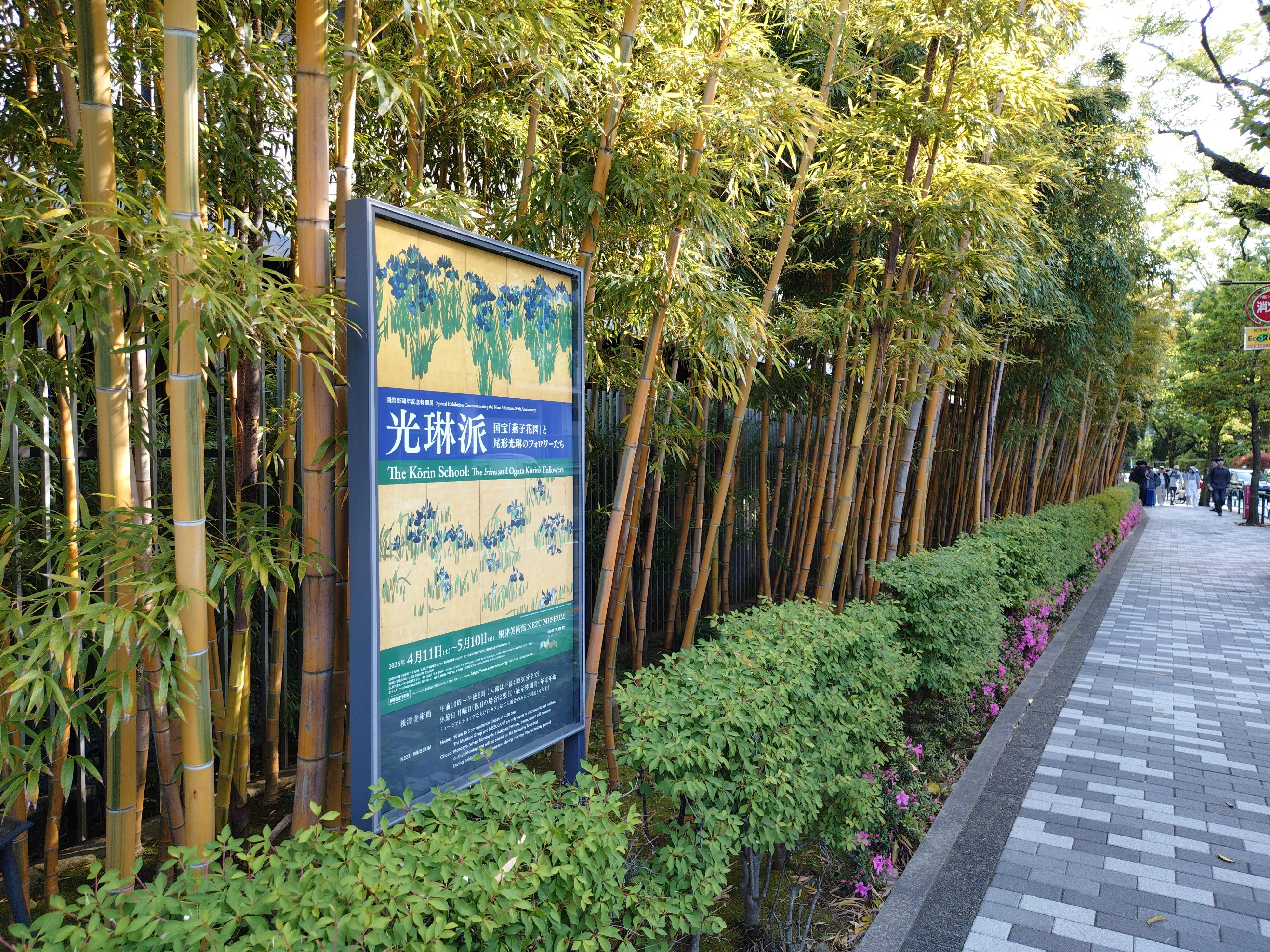 根津美術館 2026年の燕子花｜sato
