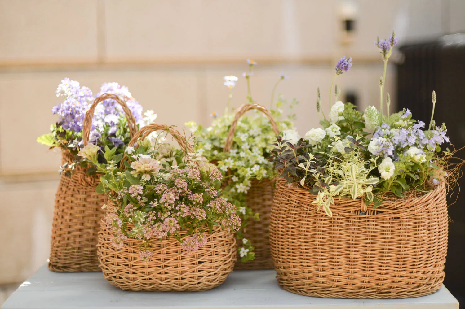 母の日ギフトに「寄せ植えバスケット」はいかがですか？｜くらし