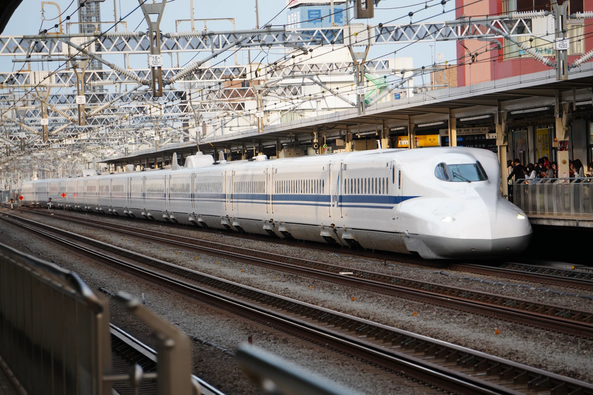 ひかり号混雑調査｜海新シス