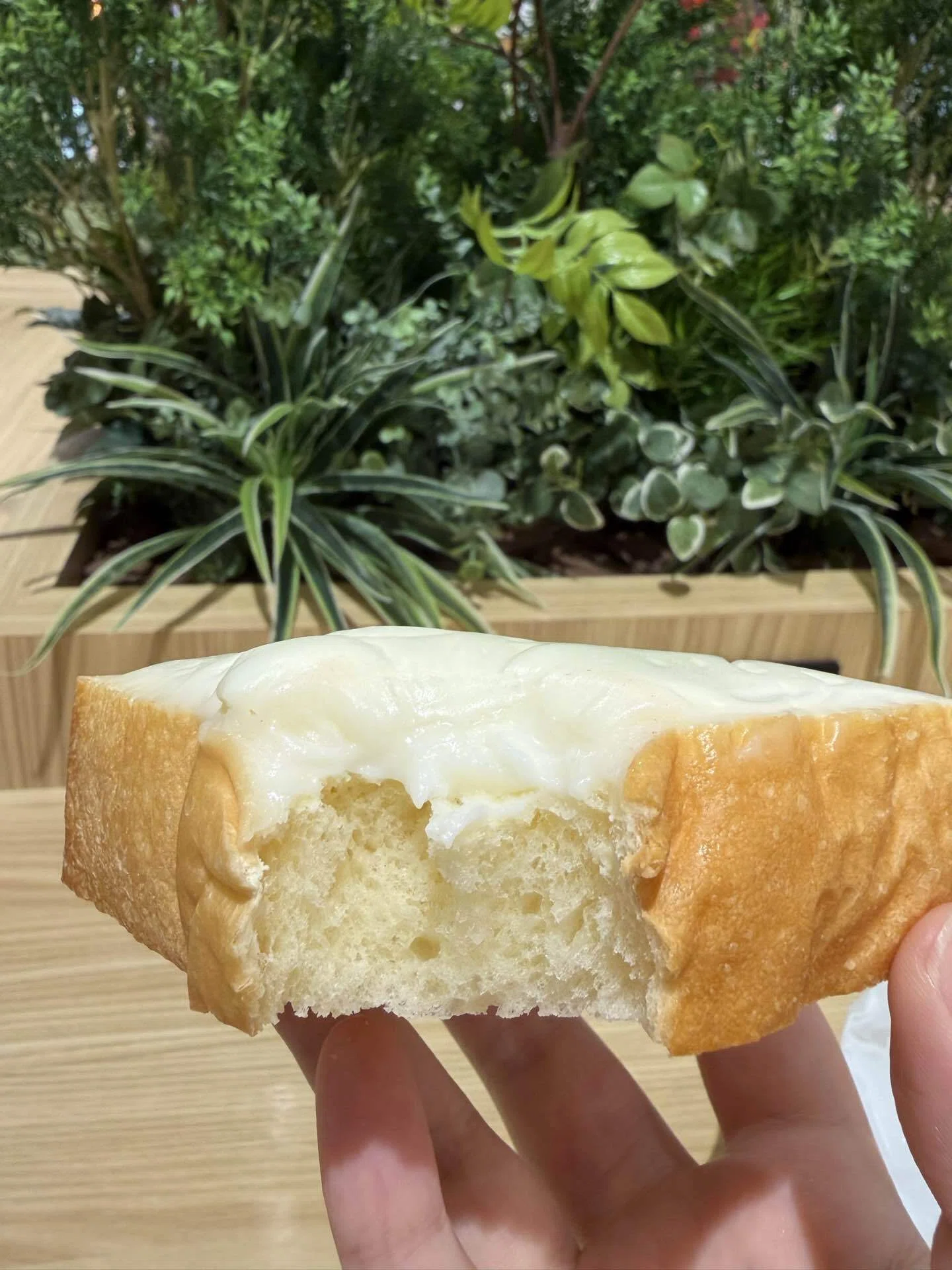 日本一周22日目｜福島名物クリームボックス🍞最後にまさかの巨大捻挫
