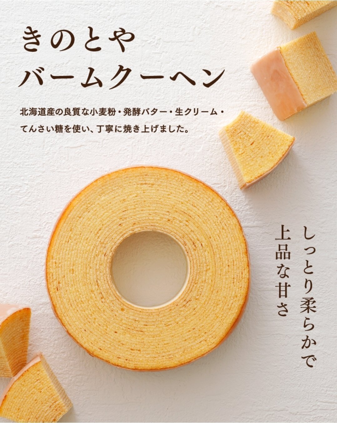デュエマクラシック05 第一回札幌杯】デッキ賞ノミネートリスト一覧