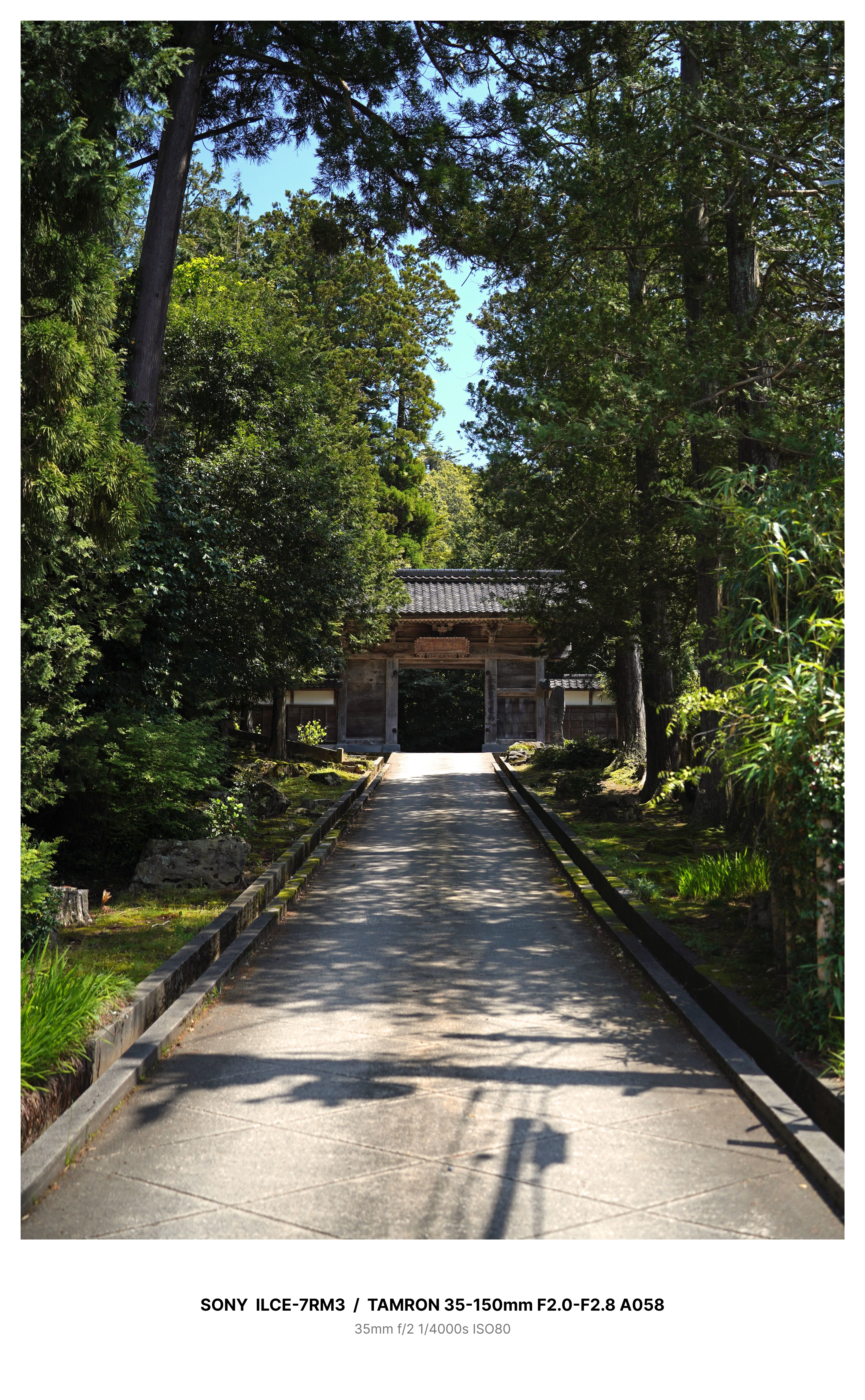 富山高岡の古刹でカメラさんぽと季節のグルメ －国泰寺－ α7RⅢ｜kenken