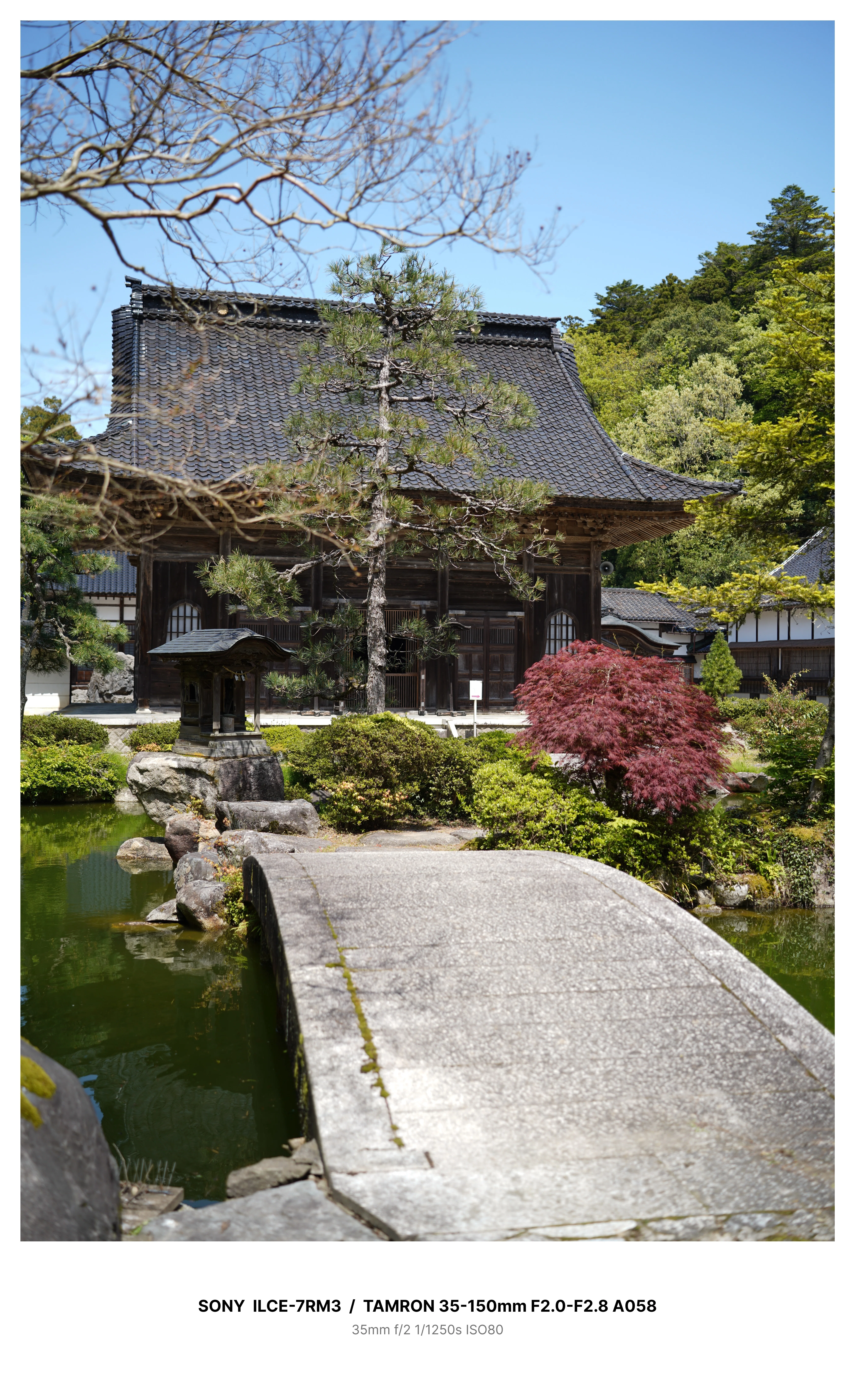富山高岡の古刹でカメラさんぽと季節のグルメ －国泰寺－ α7RⅢ｜kenken