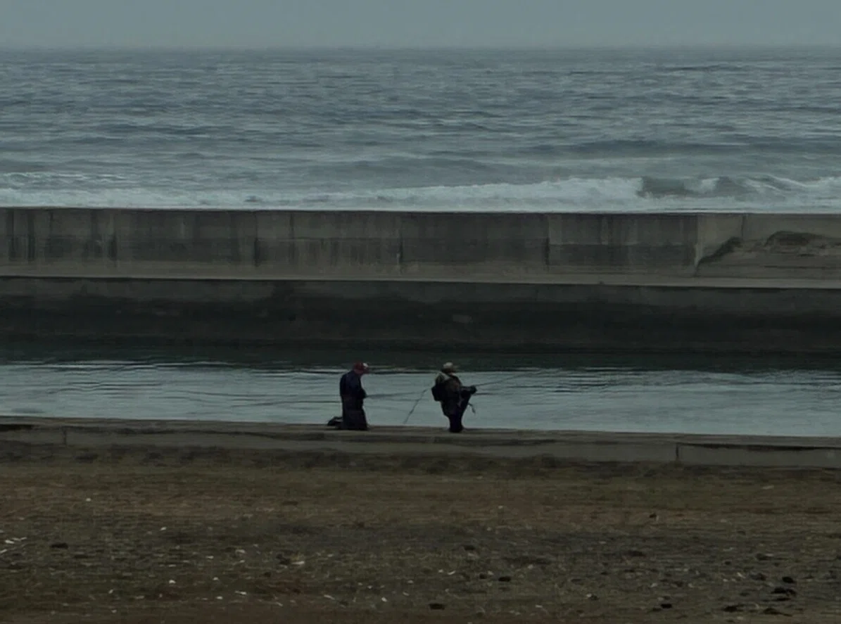 まち散歩 17】鳥の海周辺 その② ・・宮城県亘理町・・｜としぞー@まち
