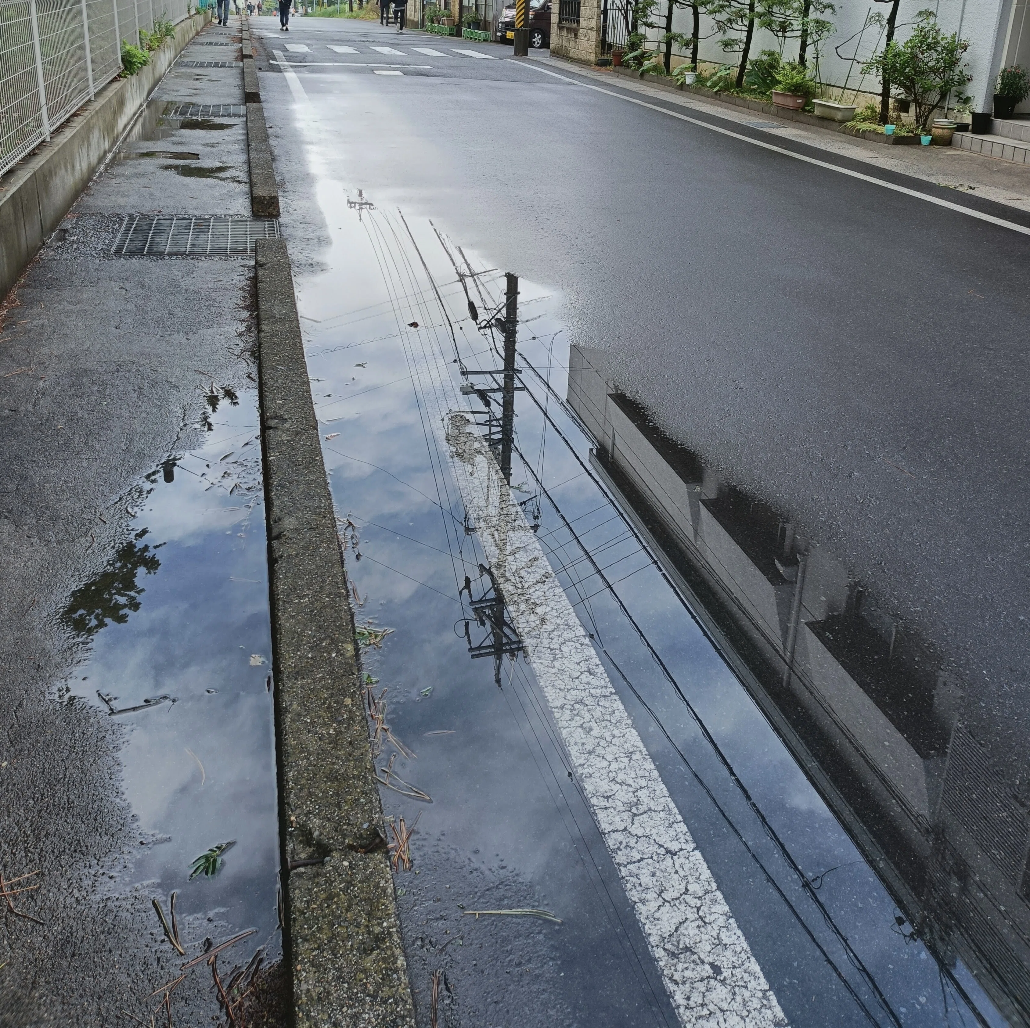 雨上がり、いい♪｜nepamin