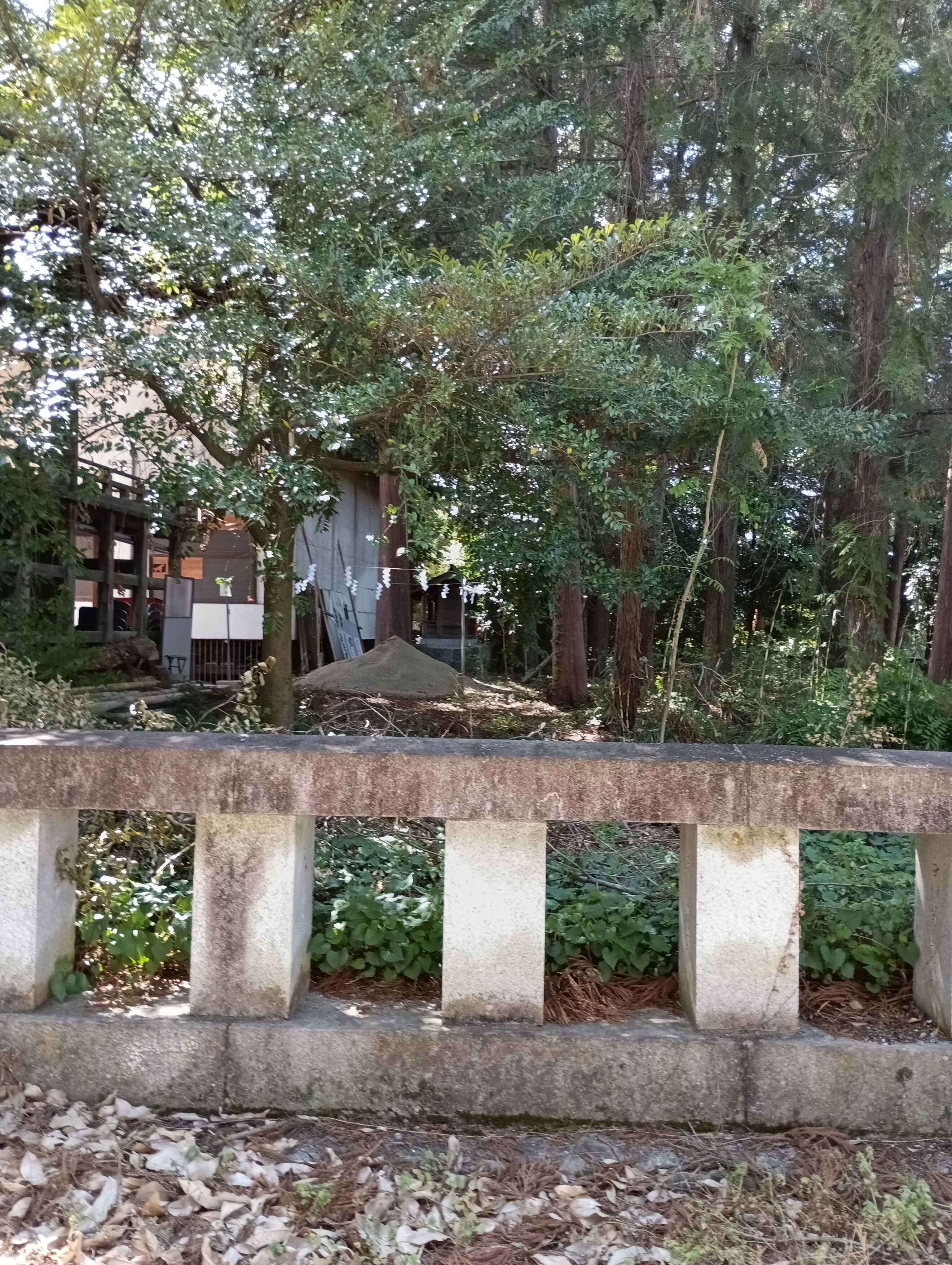 関東一の宮七社 春詣で⑦ 仕上げは センゲンではない、浅間（あさま