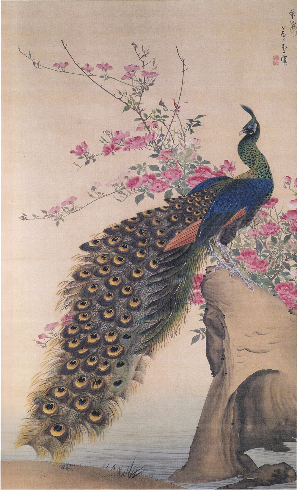 孔雀図 掛軸 168×70cm 花鳥画 長沢蘆雪」展出品作⑫ 蘆雪《長春孔雀図》｜毎日投稿！美術史