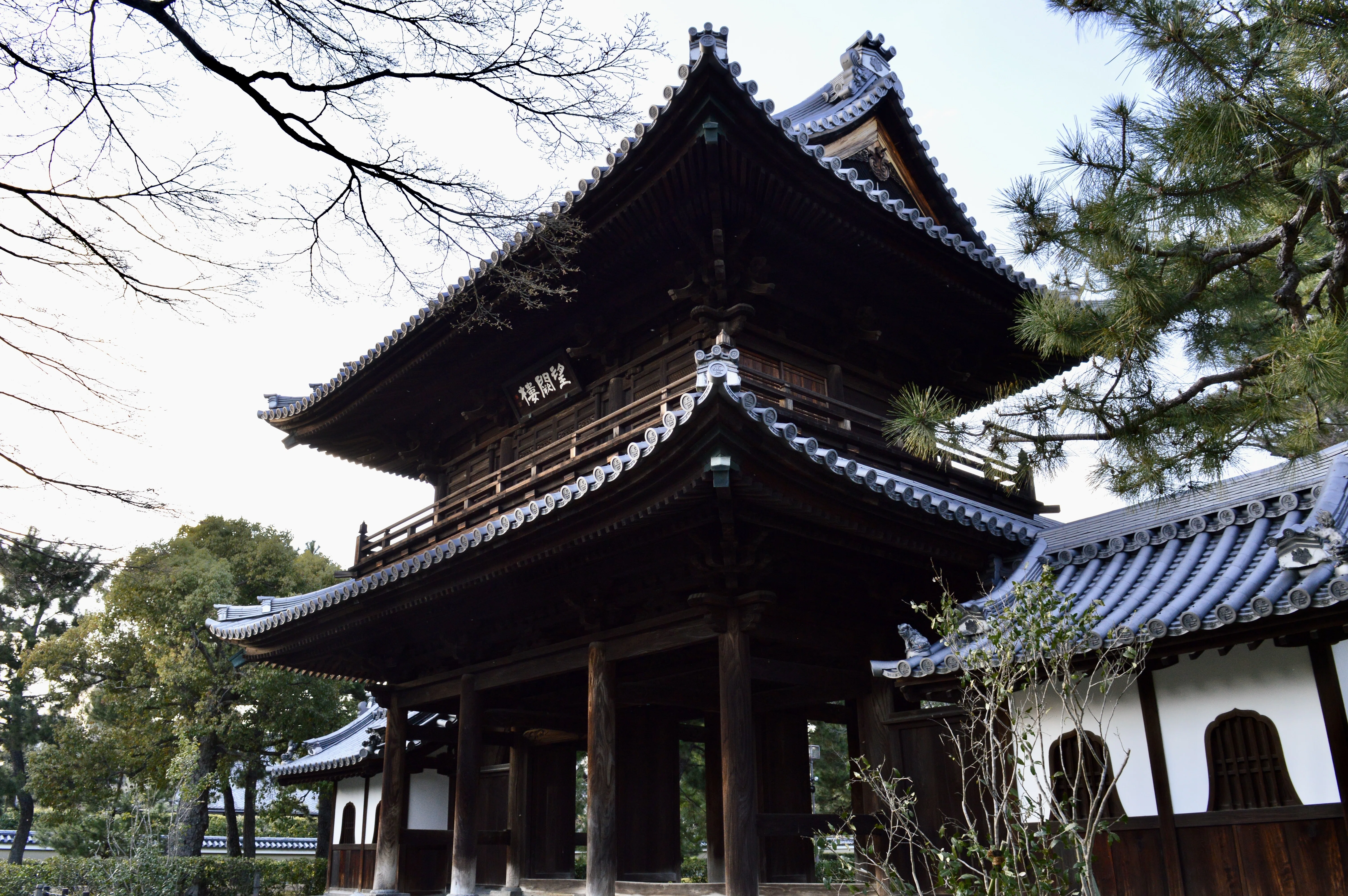 龍が宿る天井、無限を描く庭｜京都最古の禅寺【建仁寺】｜Tomo＠旅と