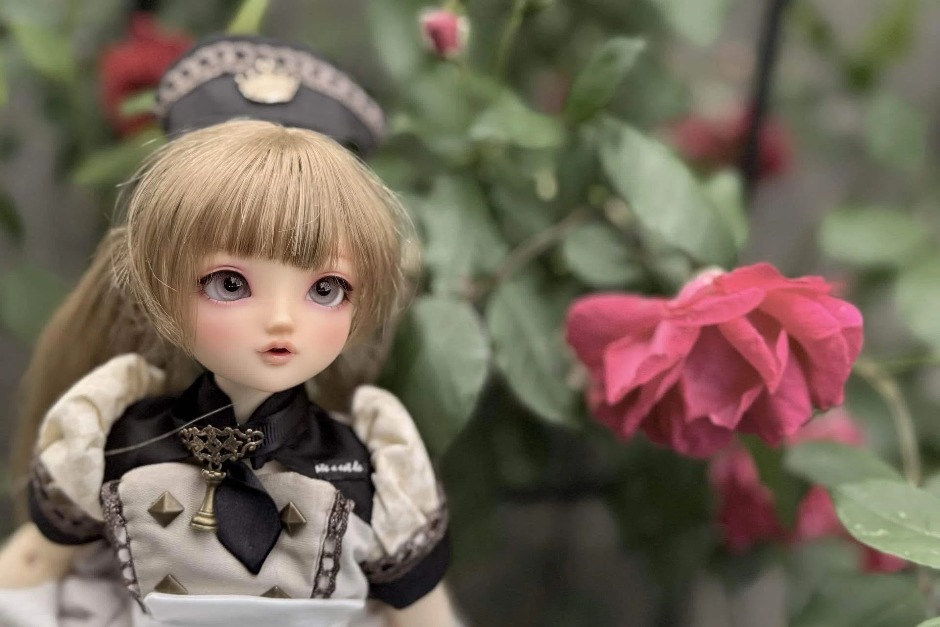 薔薇と紅茶｜あやまち