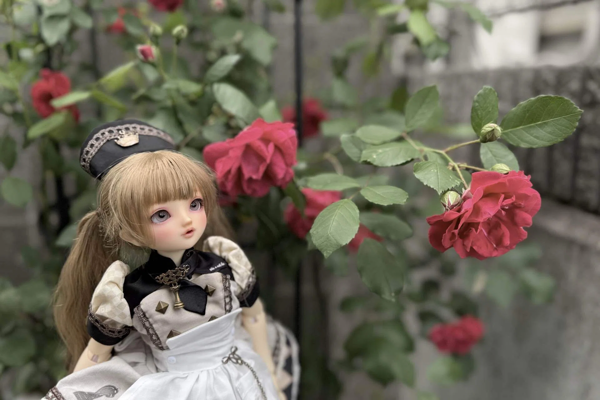 薔薇と紅茶｜あやまち