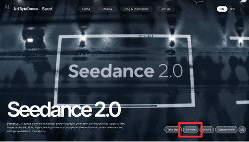 Seedance 2.0のページから「Try Now」をクリック
