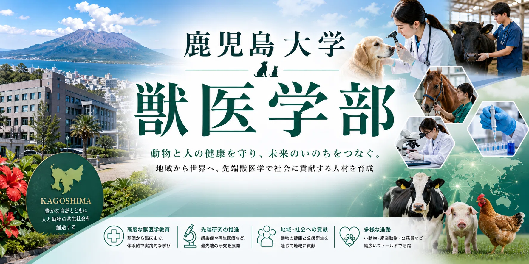 鹿児島大学共同獣医学部 徹底解剖レポート 獣医学部ニュース：偏差値