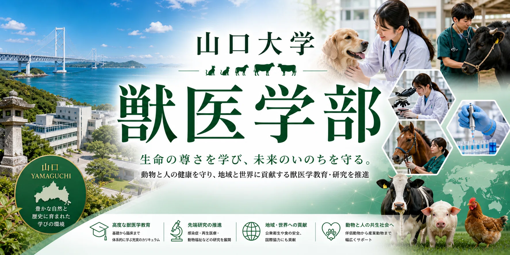獣医学部ニュース：山口大学 共同獣医学部 徹底解剖レポート 偏差値