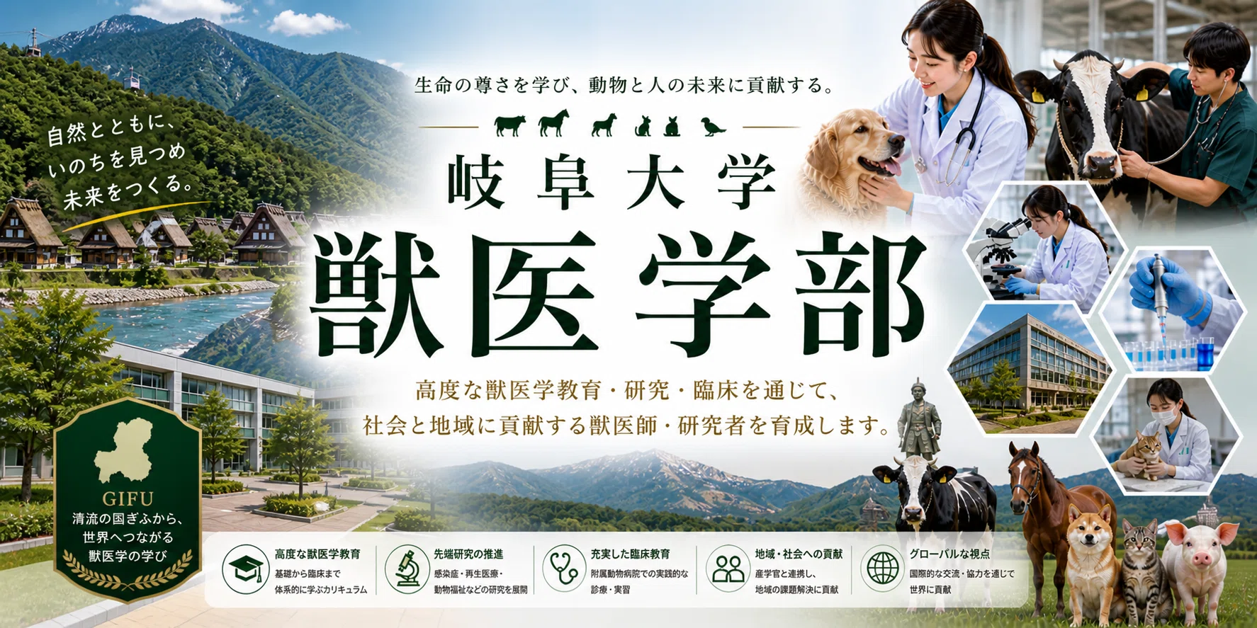 岐阜大学 応用生物科学部 共同獣医学科 完全ガイド 獣医学部ニュース
