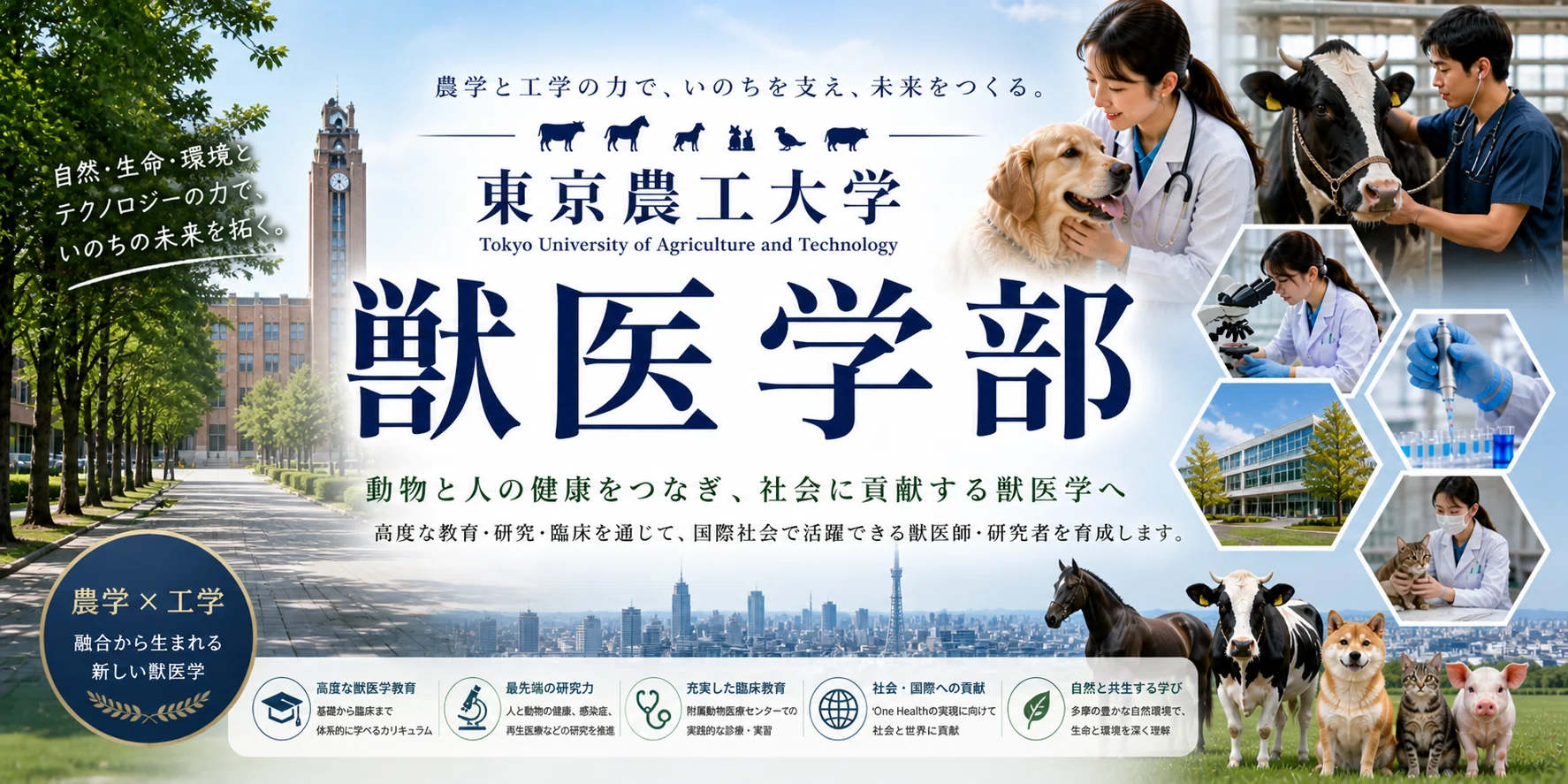 獣医学部ニュース：東京農工大学 農学部共同獣医学科 徹底解剖レポート