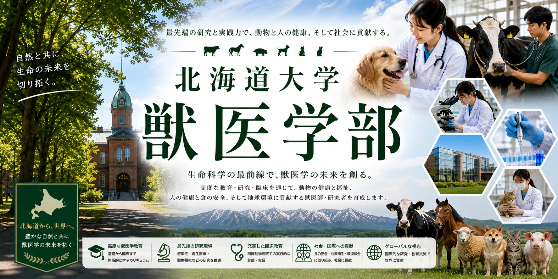 臨床獣医 2015年 1月〜12月 全12冊セット 産業動物 獣医学 臨床獣医 2015年 1月〜12月 全12冊セット 産業動物 獣医学 本 臨床獣医