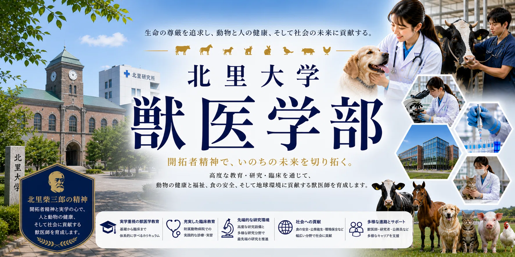 北里大学 獣医学部 徹底ガイド 偏差値 学費 進級 留年 中退 退学 放校