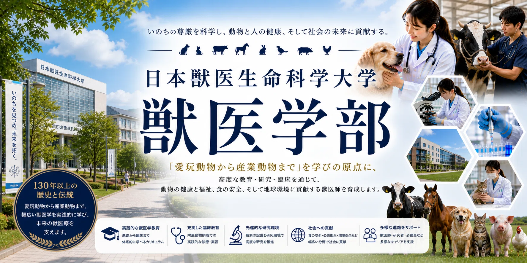 日本獣医生命科学大学 獣医学部 徹底解説レポート 偏差値 学費 進級 留