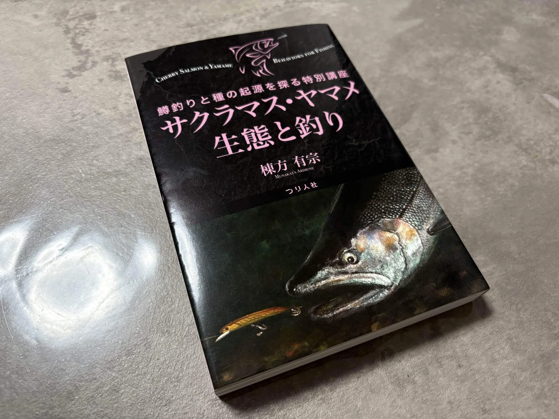 2026】新潟サクラマス釣り10日目【三面川】｜田沢寛