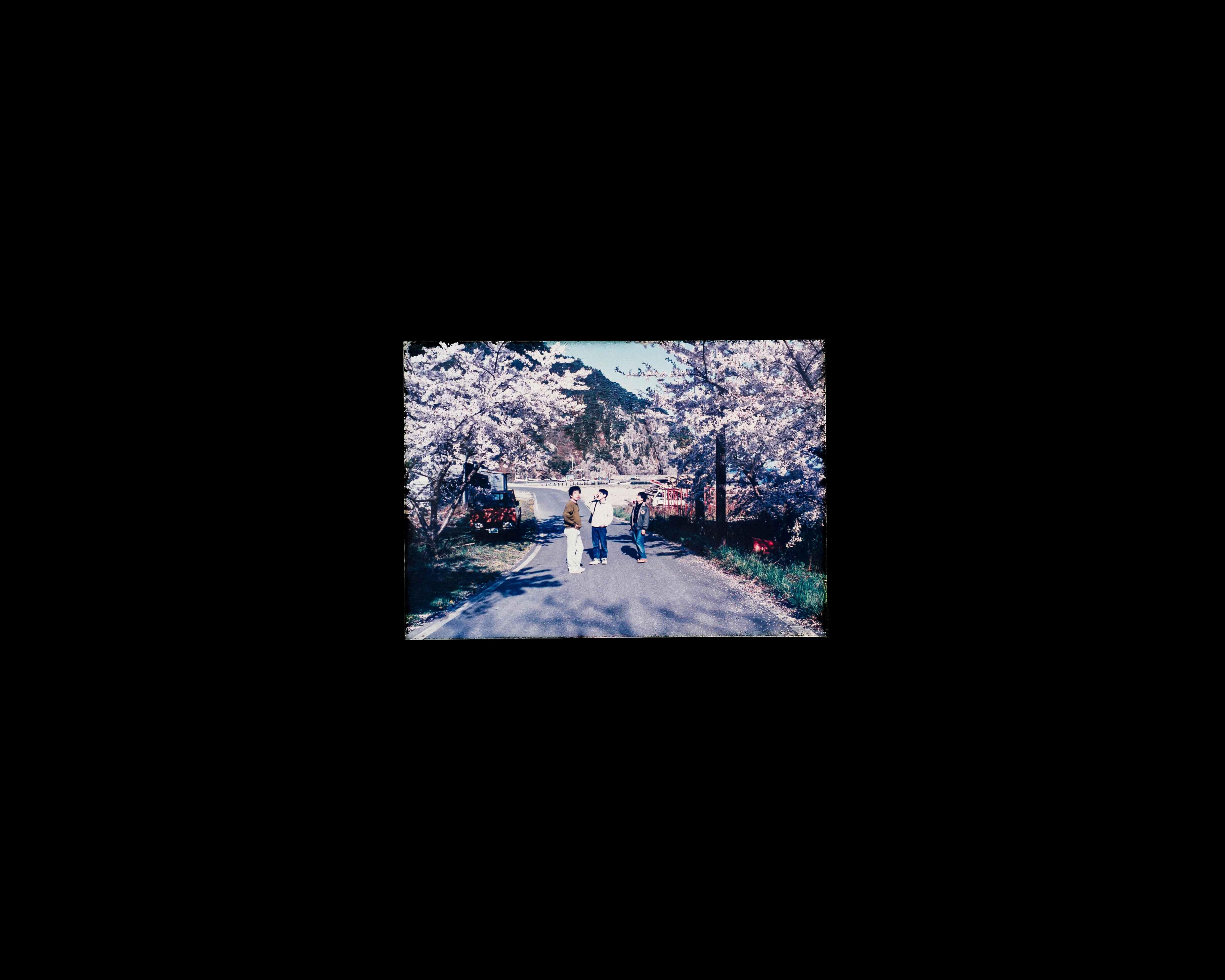 2026/3月の写真｜よことし