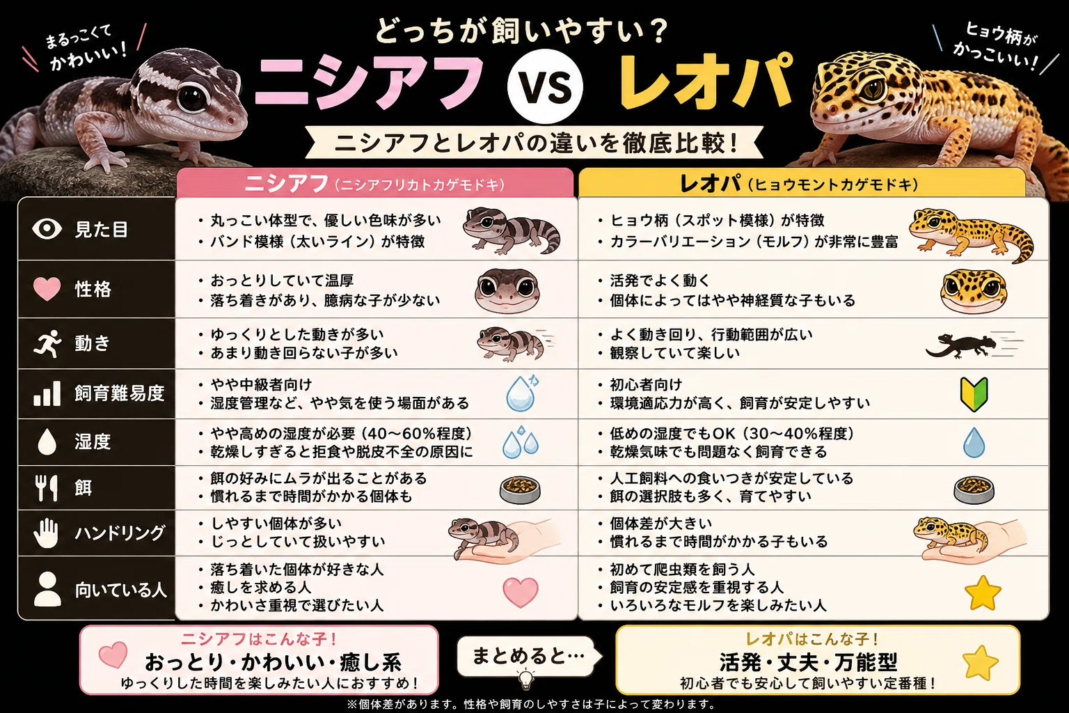 完成版】ニシアフとレオパの違いについて｜マキ爬虫類飼育部屋