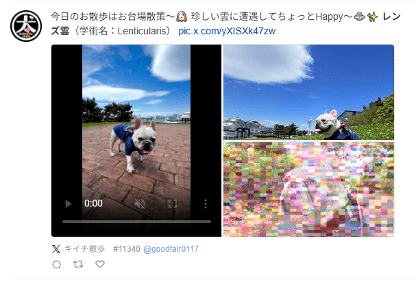 画像