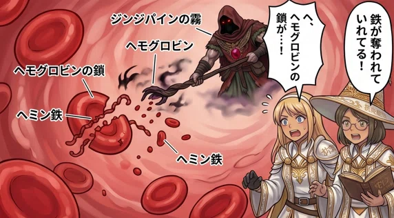 ジンジパインの酵素がヘモグロビンのたんぱく質を溶かし、へミン鉄にして取り込むことを表した画像
