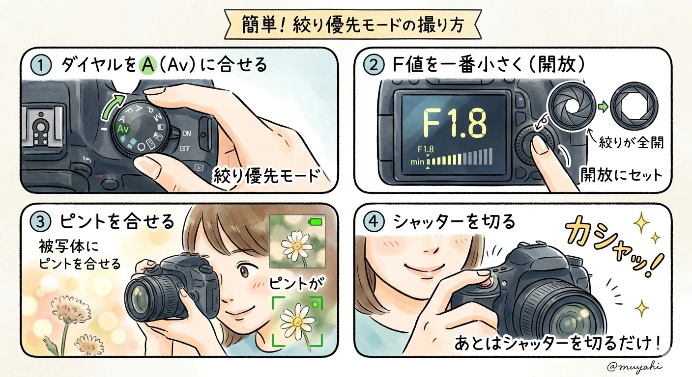 ⁄ 第31回 ミラーシャッター一眼レフ「Fujica わたしのカメラ三昧 ST-F