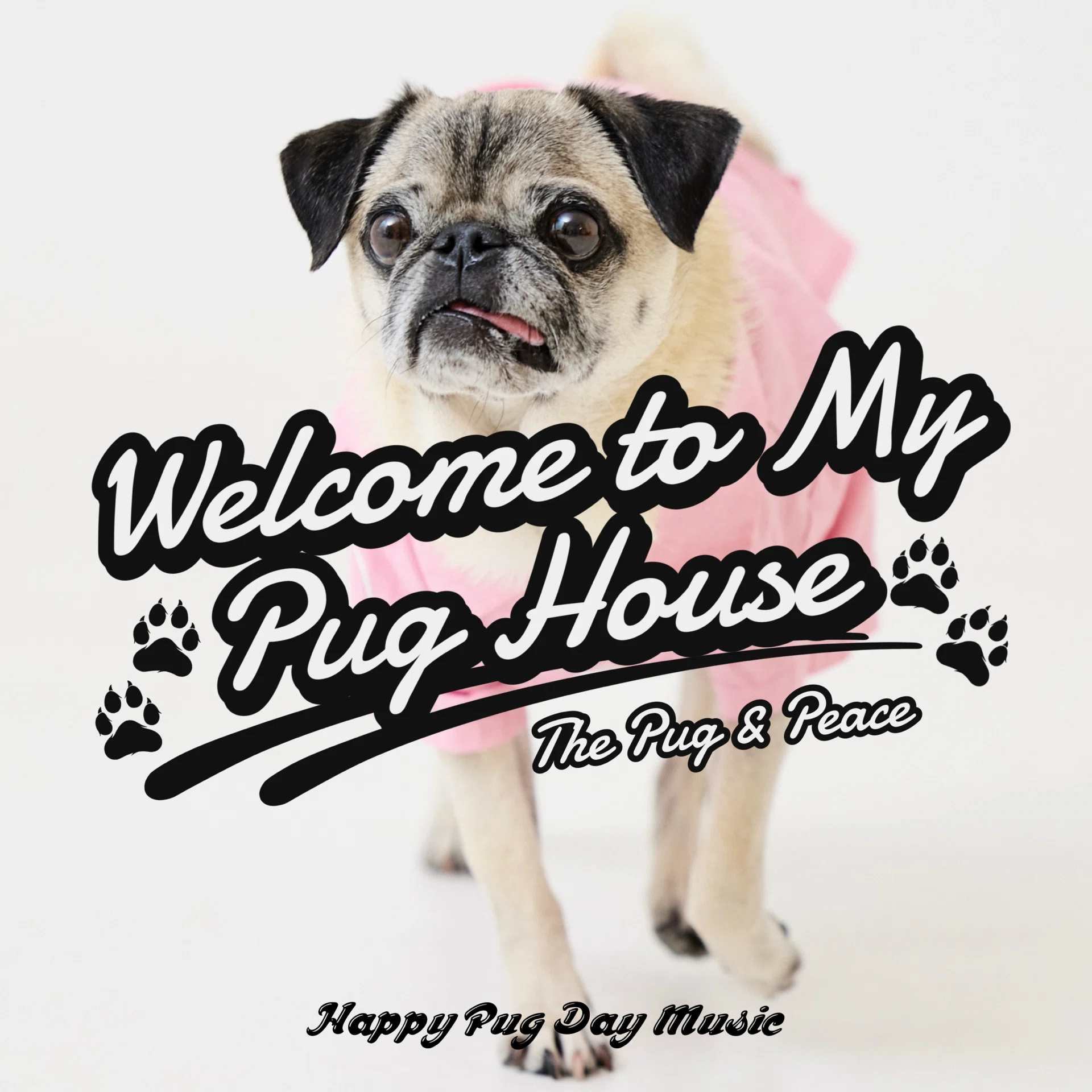 Welcome to My Pug House｜ケンスケ・コバヤシ｜Sales Ops ｜Pug & Peace