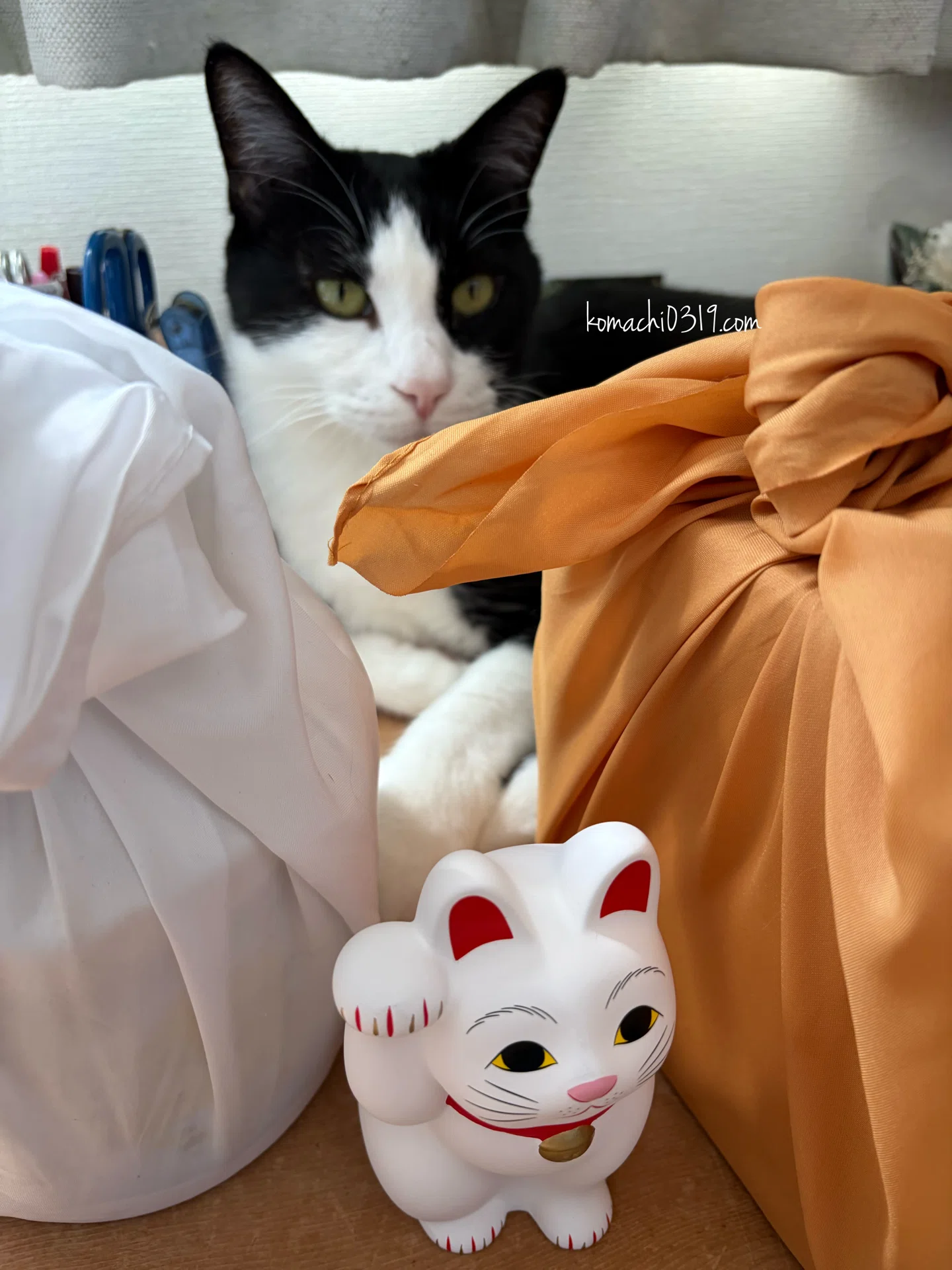 MORTEX ごねこ necoto THz ceramic plate【cat face / WHT】 ｜ necoto