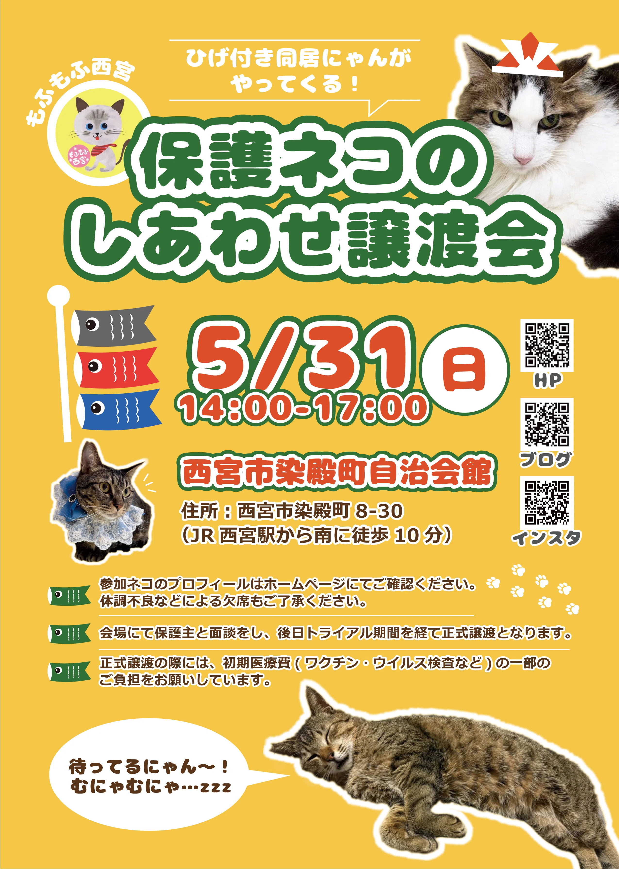 保護猫譲渡会 チラシ｜ポートフォリオ｜Takara│デザイナー