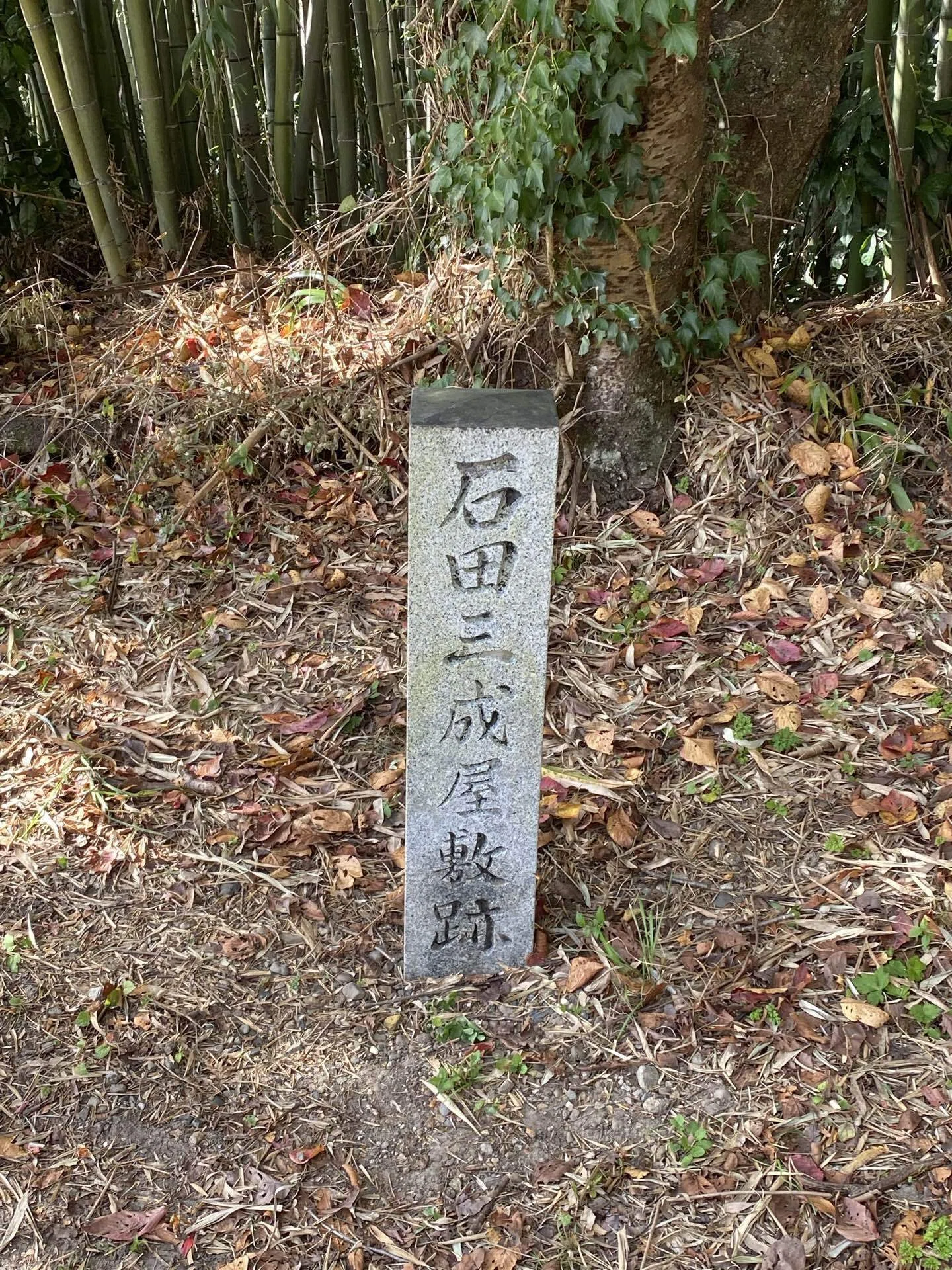 無欠万能の名城、彦根城【100名城の旅、5城目】｜前田利家