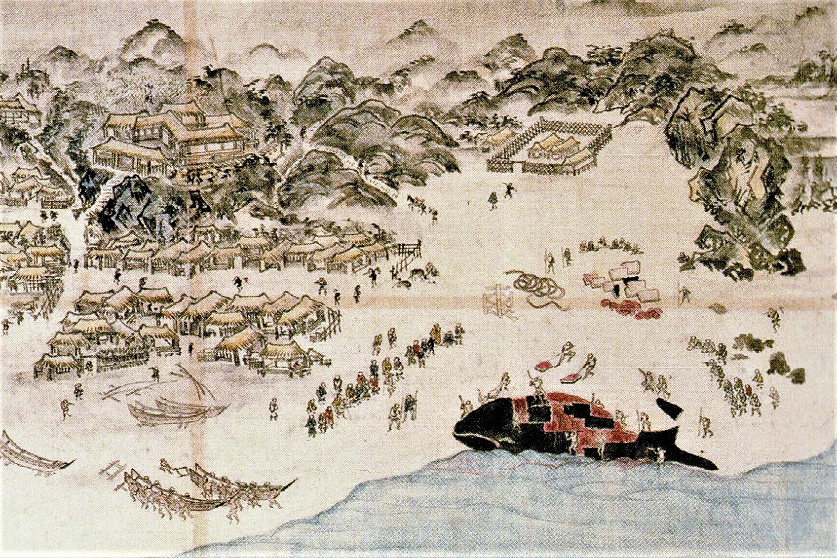 第10回 クジラ～沖を行くものの世界｜江尻浩二郎
