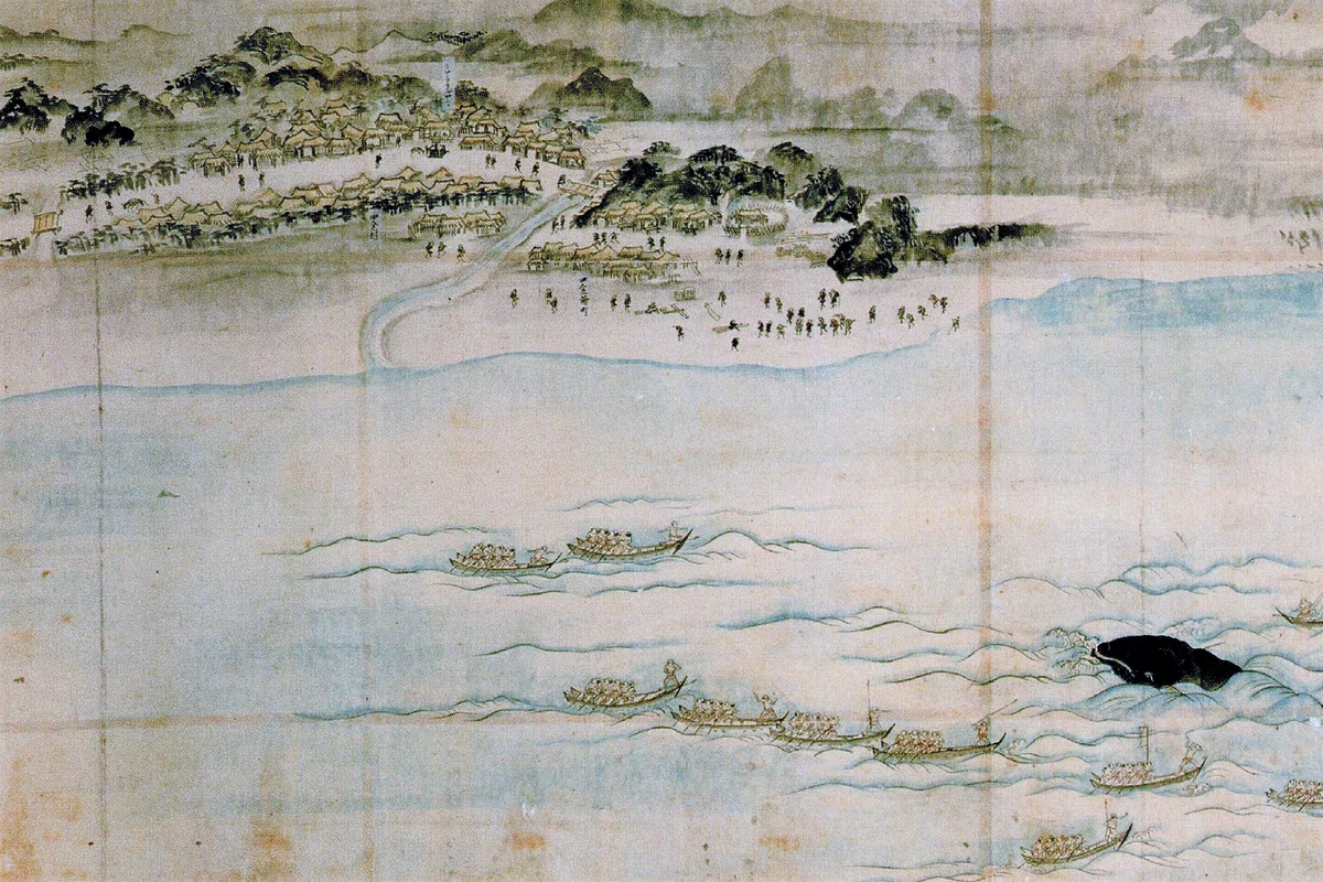 第10回 クジラ～沖を行くものの世界｜江尻浩二郎