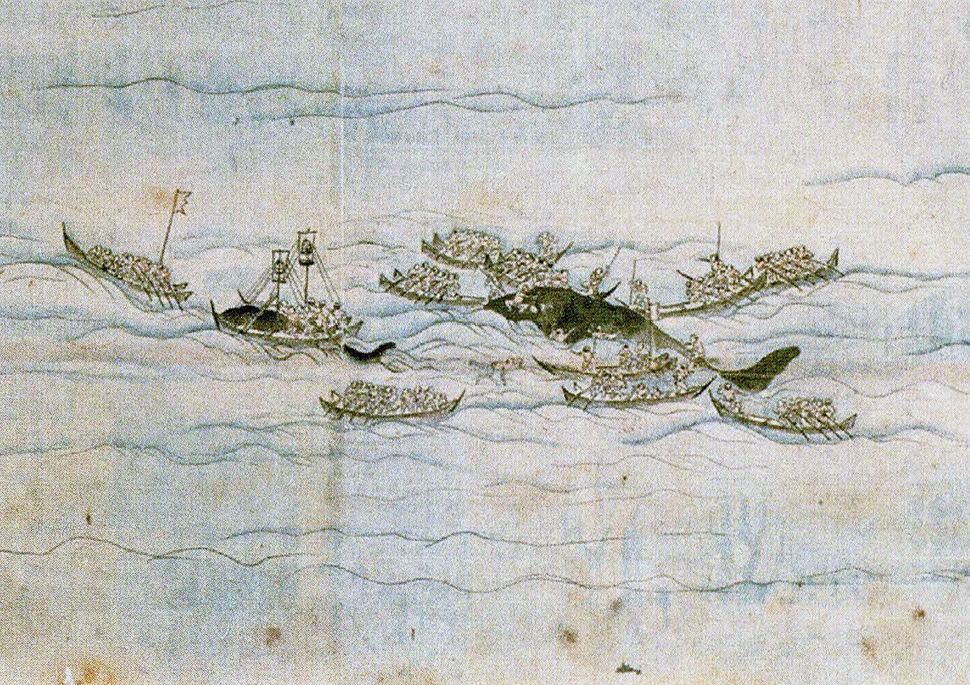 クジラ～沖を行くものの世界｜江尻浩二郎