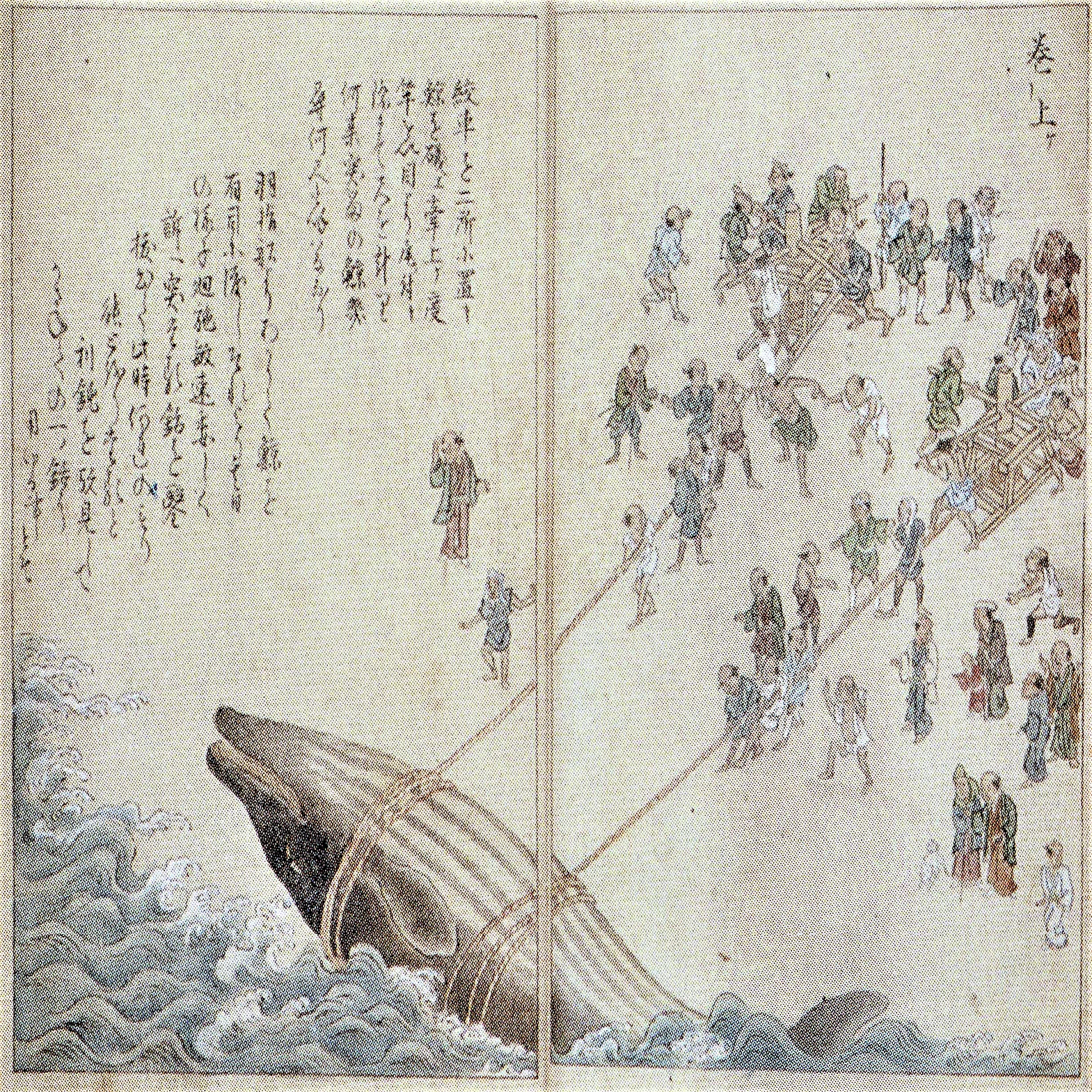 第10回 クジラ～沖を行くものの世界｜江尻浩二郎