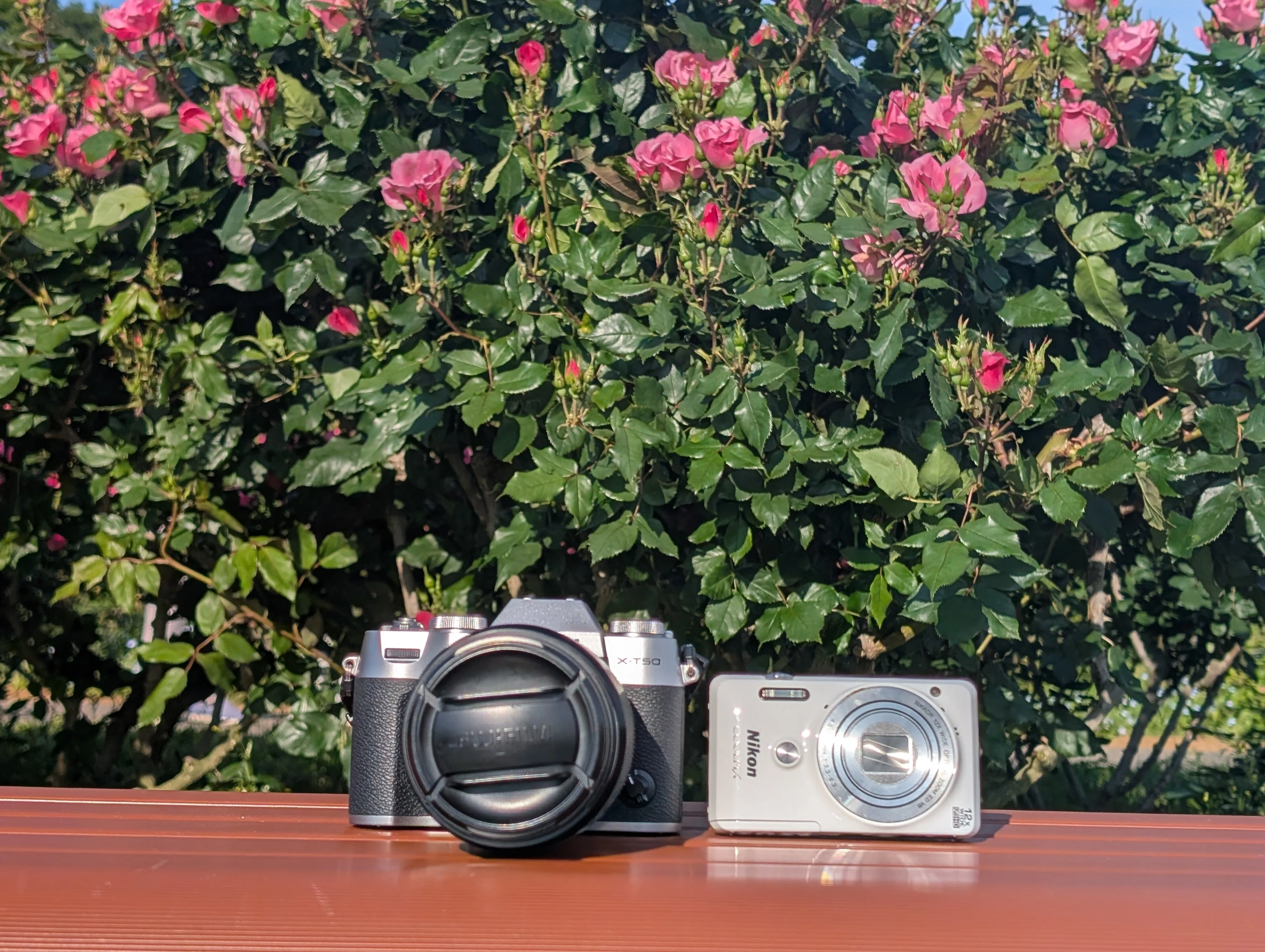 Nikon COOLPIX S6900 自撮り 眠っていたNikonのコンデジ 『COOLPIX S6900』で撮影してみた｜にーこ
