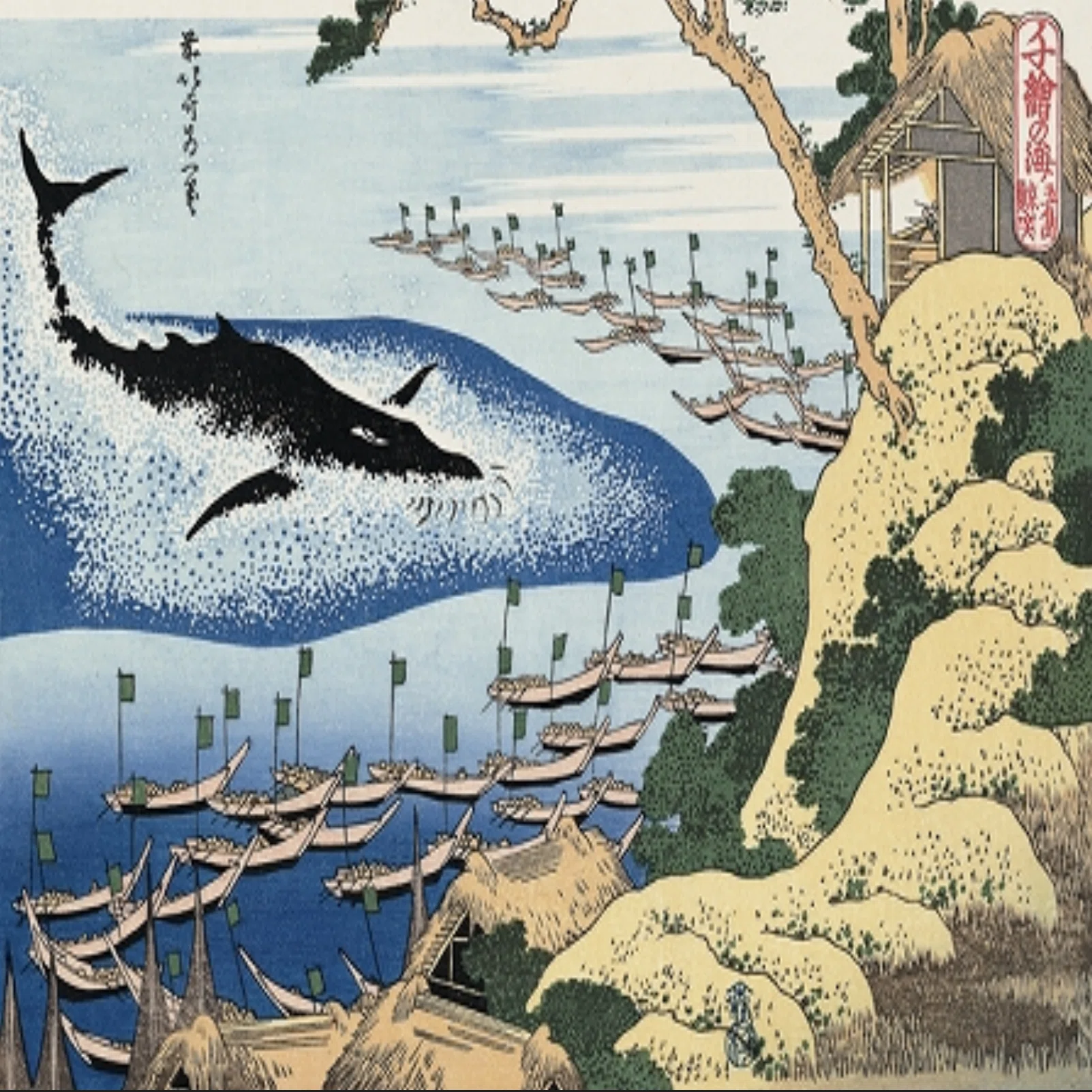 第10回 クジラ～沖を行くものの世界｜江尻浩二郎