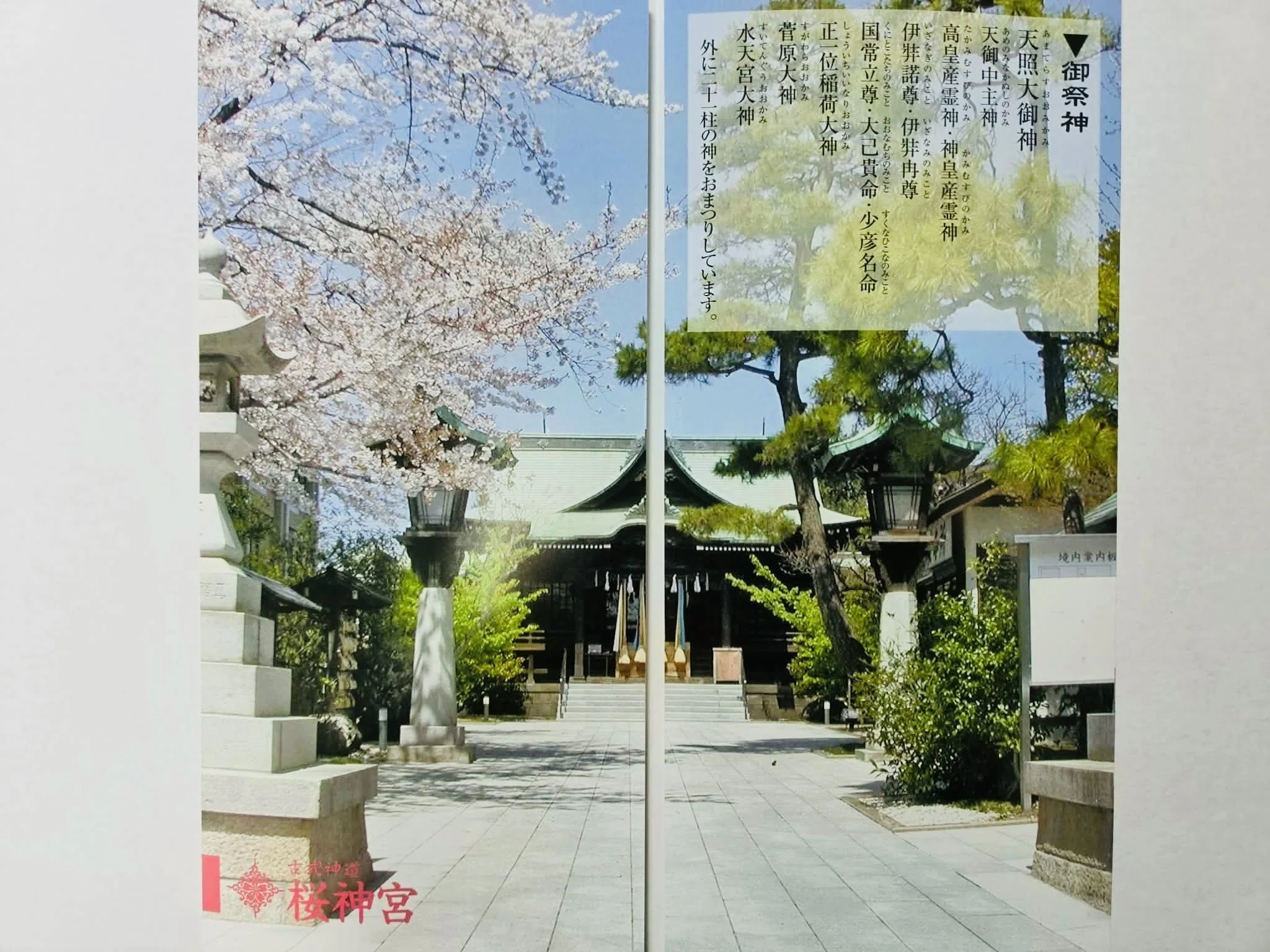 桜神宮｣参拝 at 桜新町～2026年｢こどもの日｣～｜章音