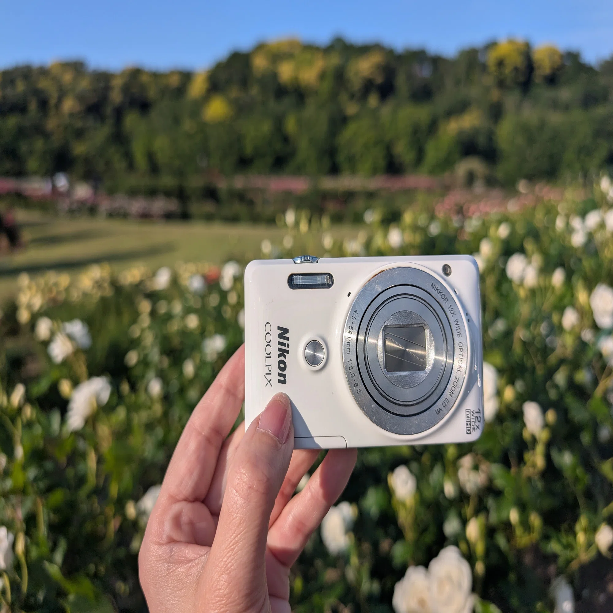 眠っていたNikonのコンデジ 『COOLPIX S6900』で撮影してみた｜にーこ