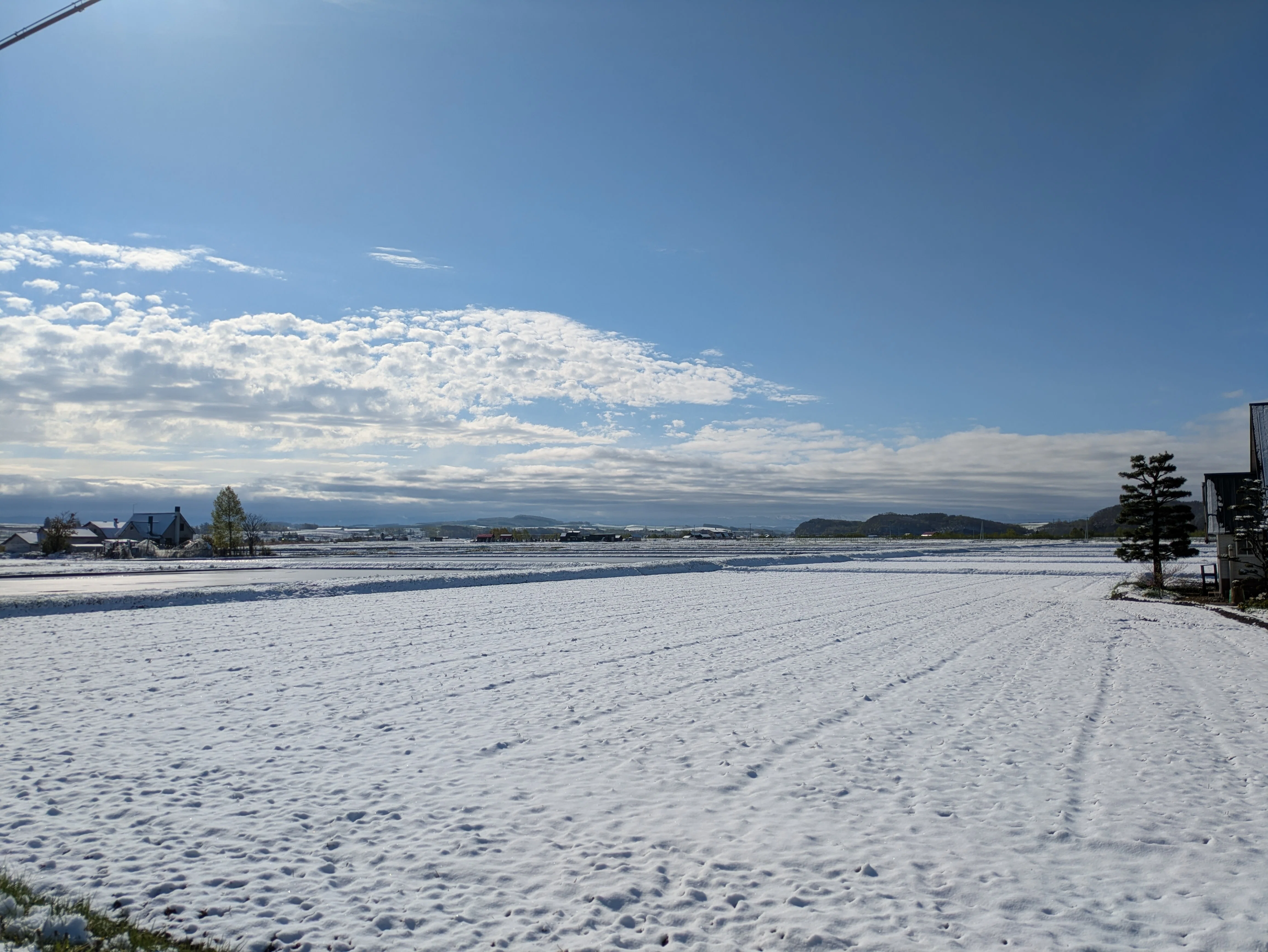 新緑の中の雪景色｜YUKI｜子なし夫婦の北海道移住×農業×看護師